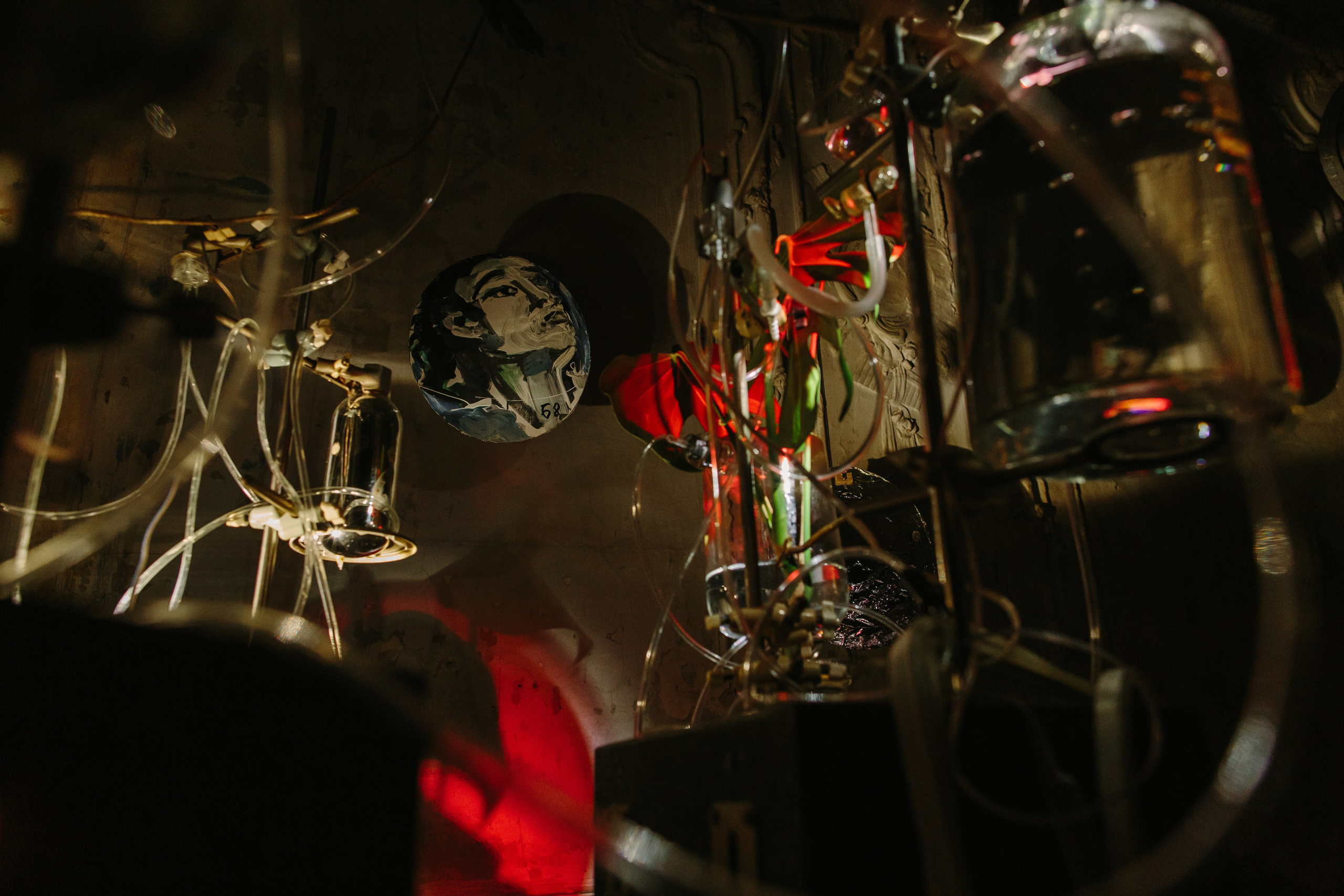 Asya Feoktistova. SHOOTS. Asya Feoktistova