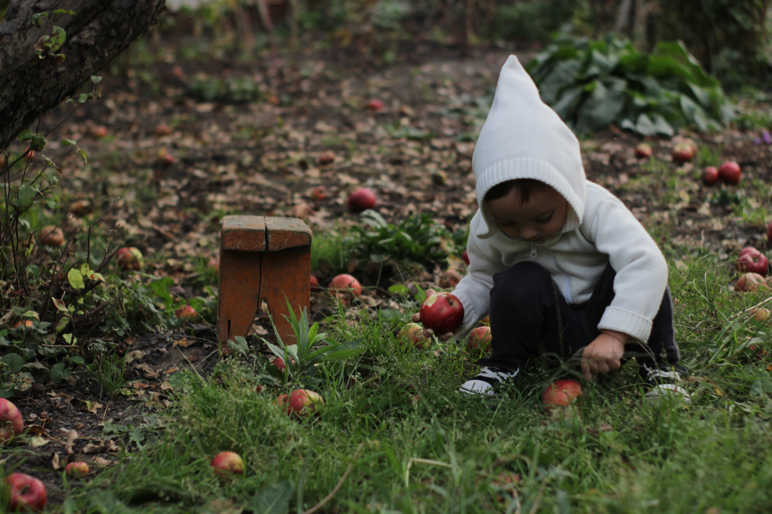 Детская съемка. Наталья Сологуб|Фотограф|Ростов-на-Дону