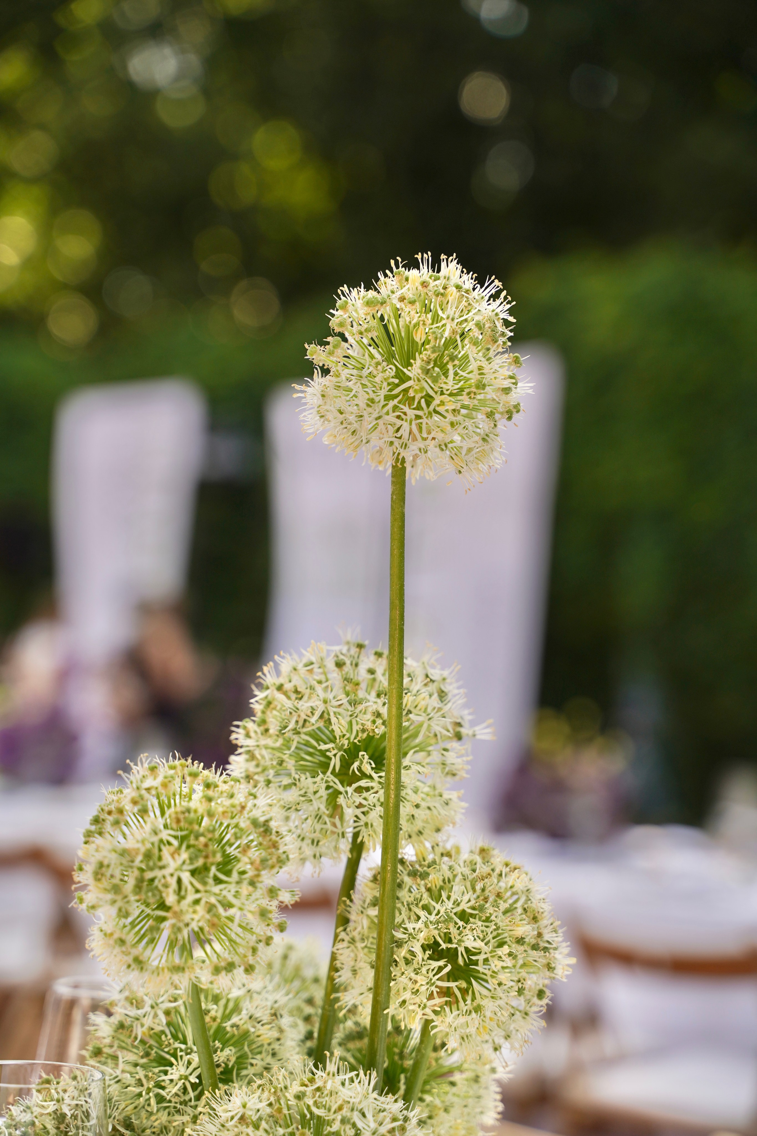 Dech.art.bureau — NRAV. Семейный и детский фотограф в Москве