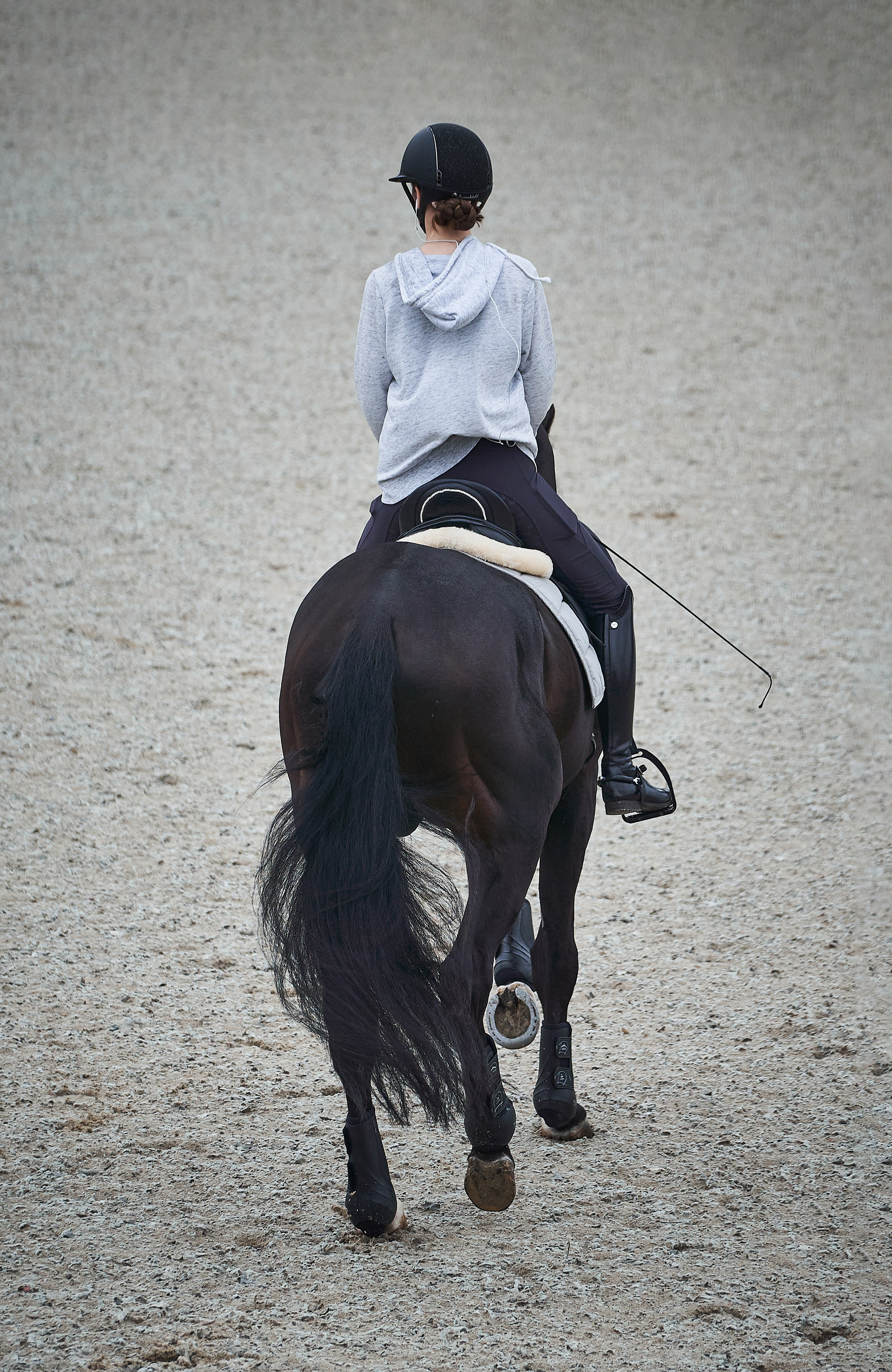 Анна и Наполи. Фотосессии с лошадьми в Москве, Новосибирске