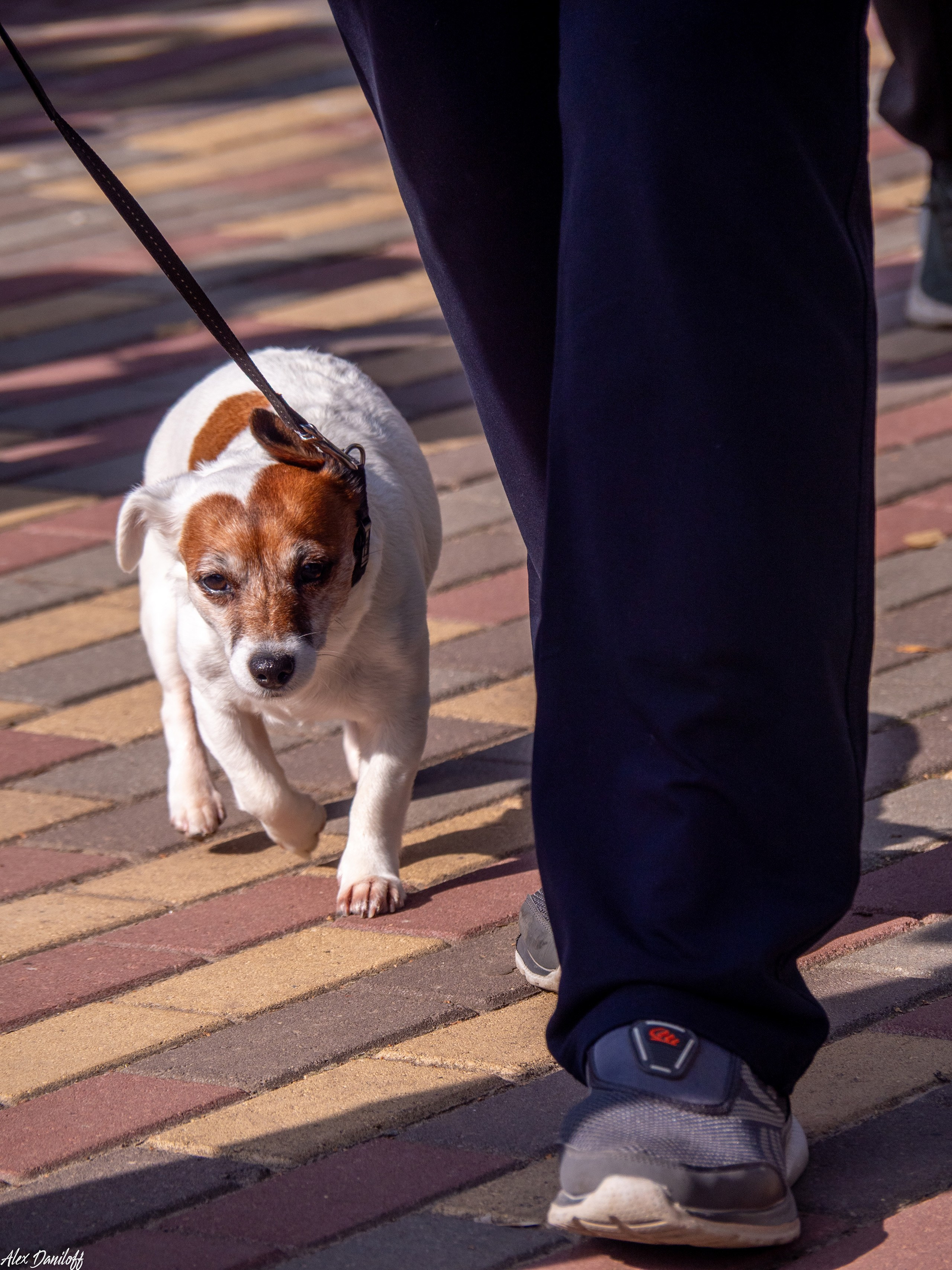 Обнимака 2025. Муром-Инфо. Новости культуры, образования, спорта в городе Муром