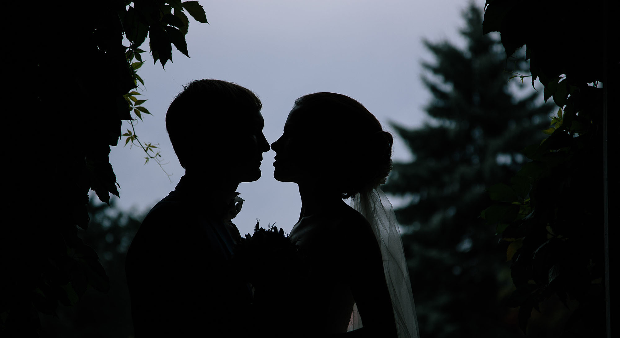 Фото. Фотосъемка. Алексей Темнов — фотограф в Пятигорске