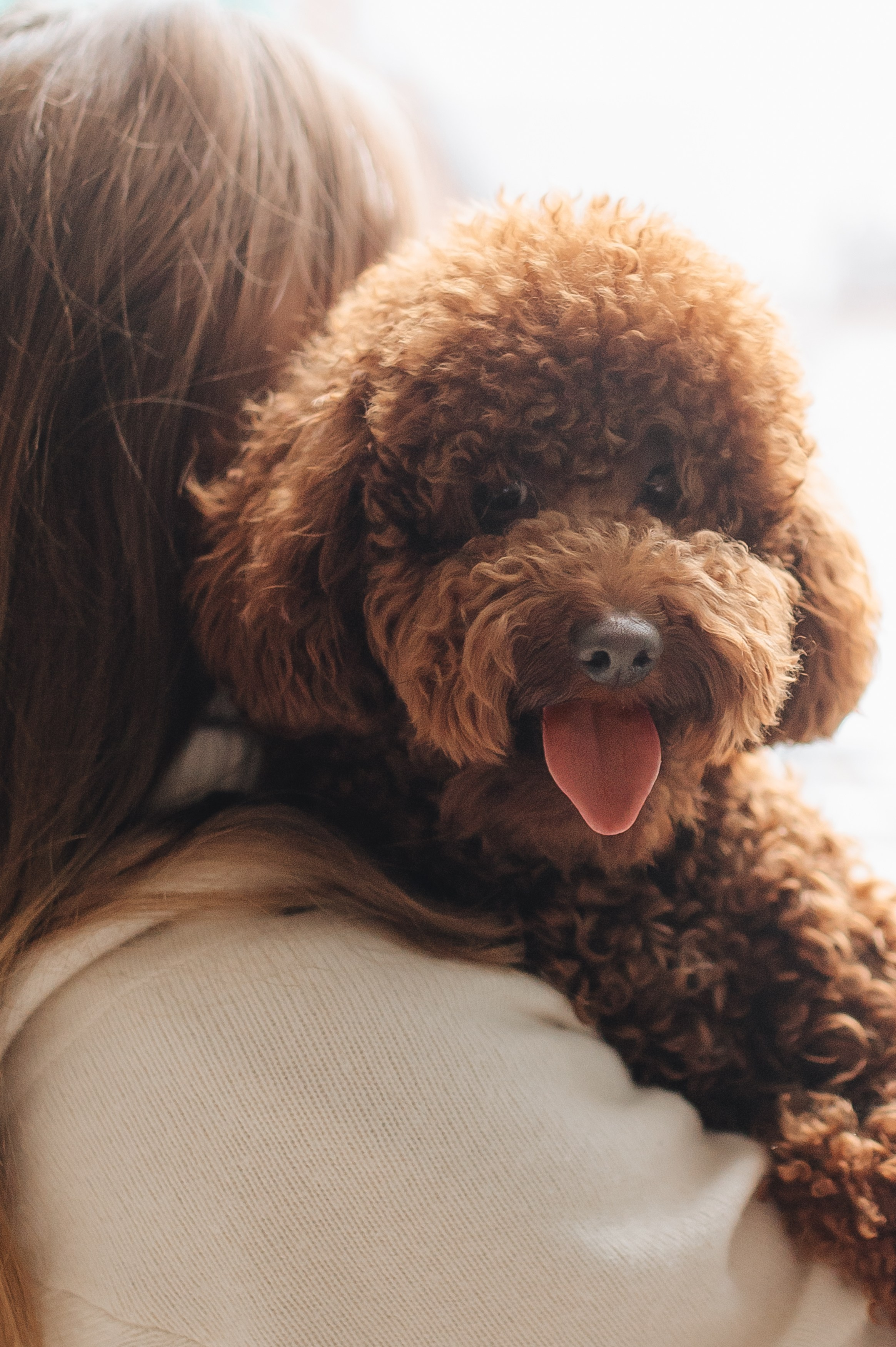 Рената и Луи. Фотограф Прага | Photographer Prague| Фотограф в Праге Яра Куркус