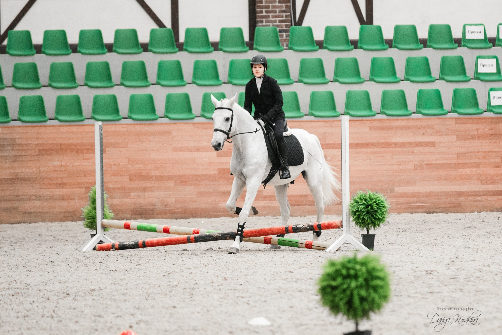 8-я международная выставка Конная Россия. Конный фотограф Куракина Дарья • Фотосессии с лошадьми