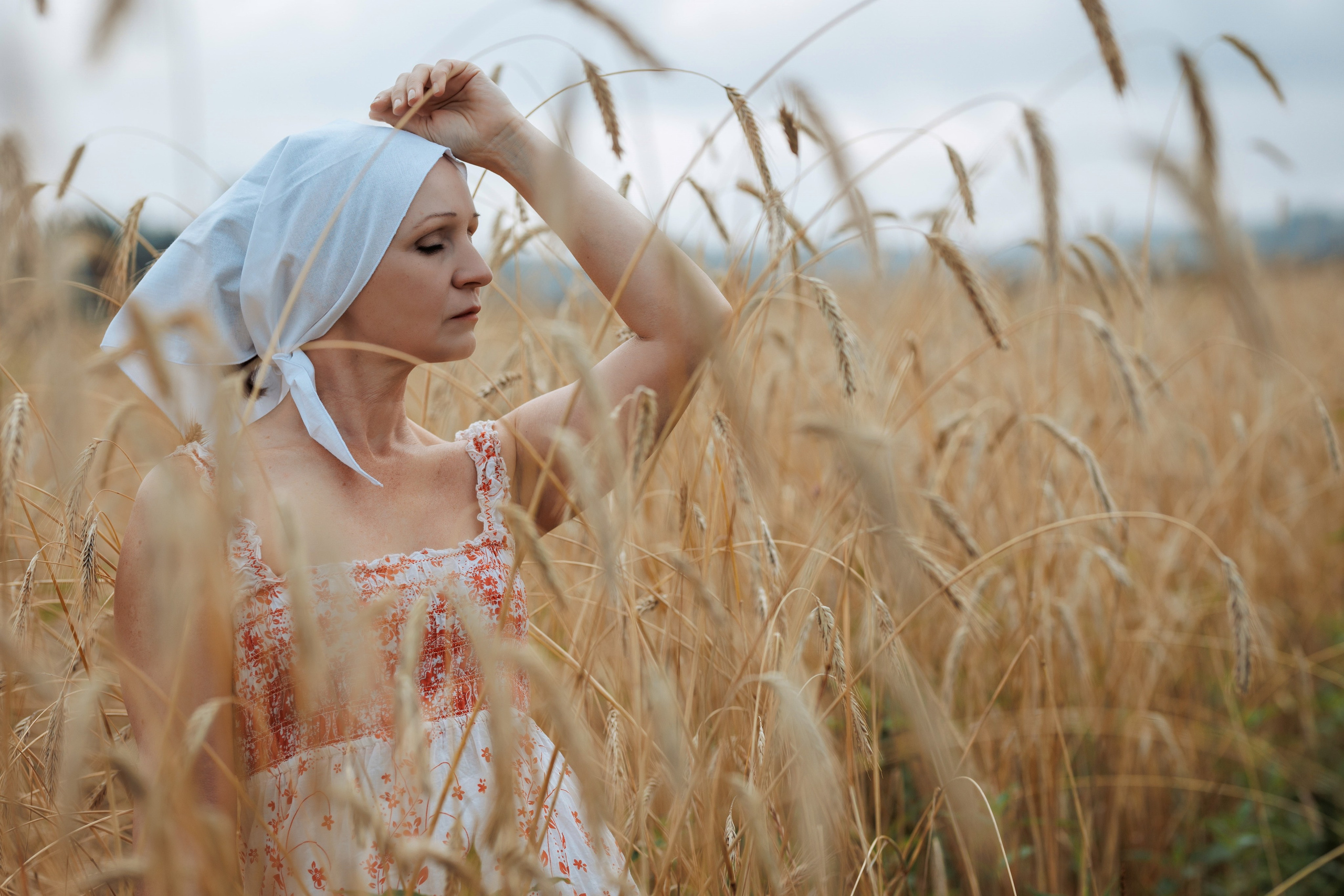 2025-08-10. Пшеничное поле