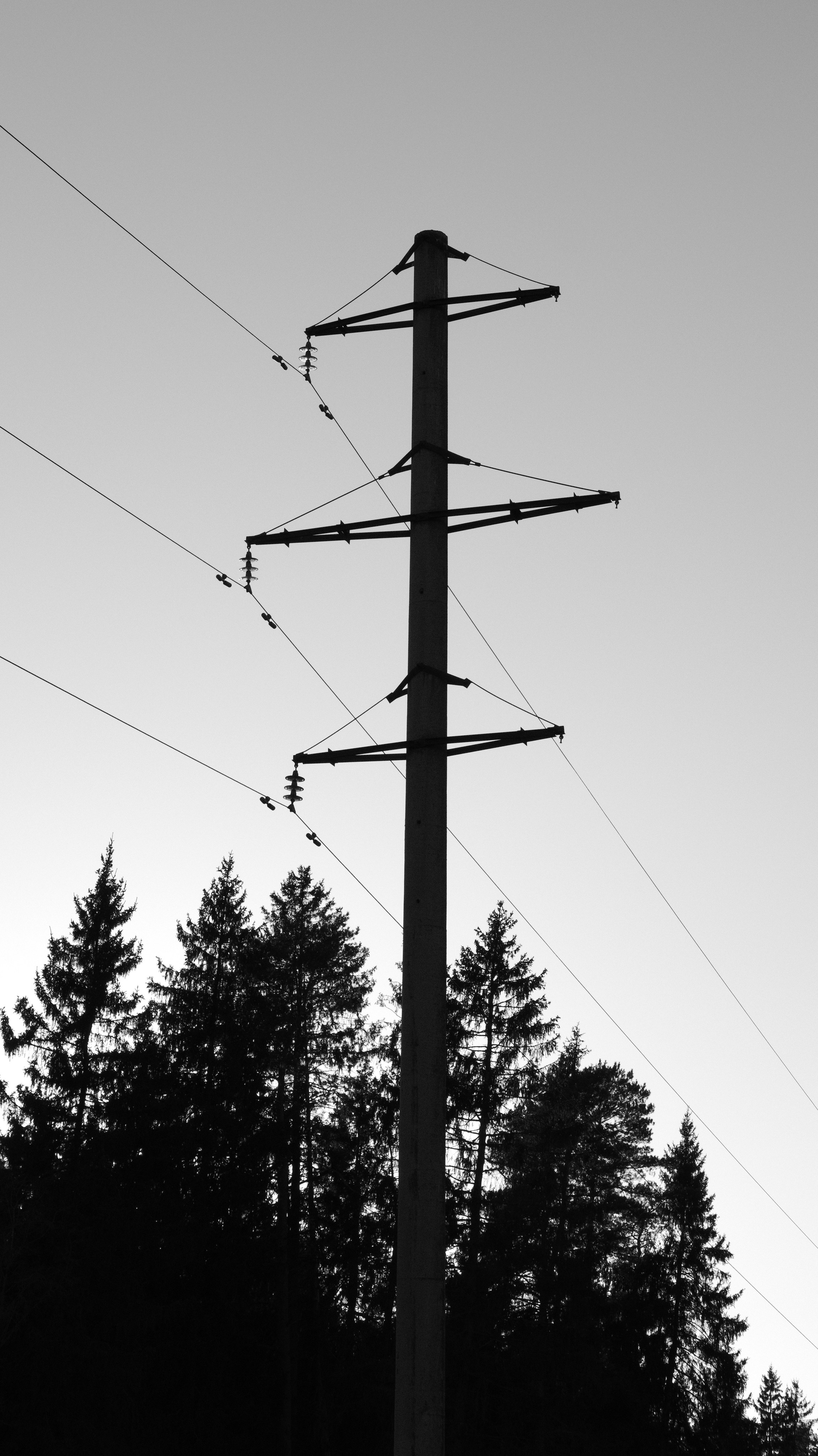 Природа. Фотограф Маргана Лоция