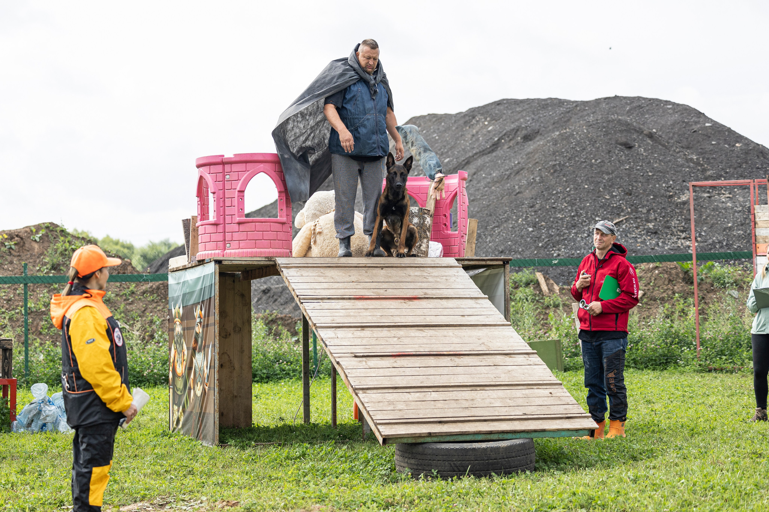 Соревнования по Мондьорингу г. Вологда 10-11.08.2024. Фотограф-анималист Анна Маринич