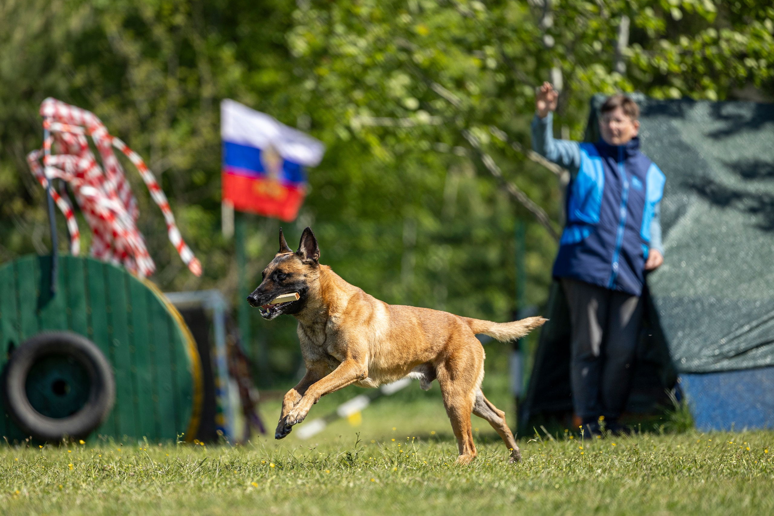 Испытания по мондьорингу в Нижнем Новгороде. Фотограф-анималист Анна Маринич