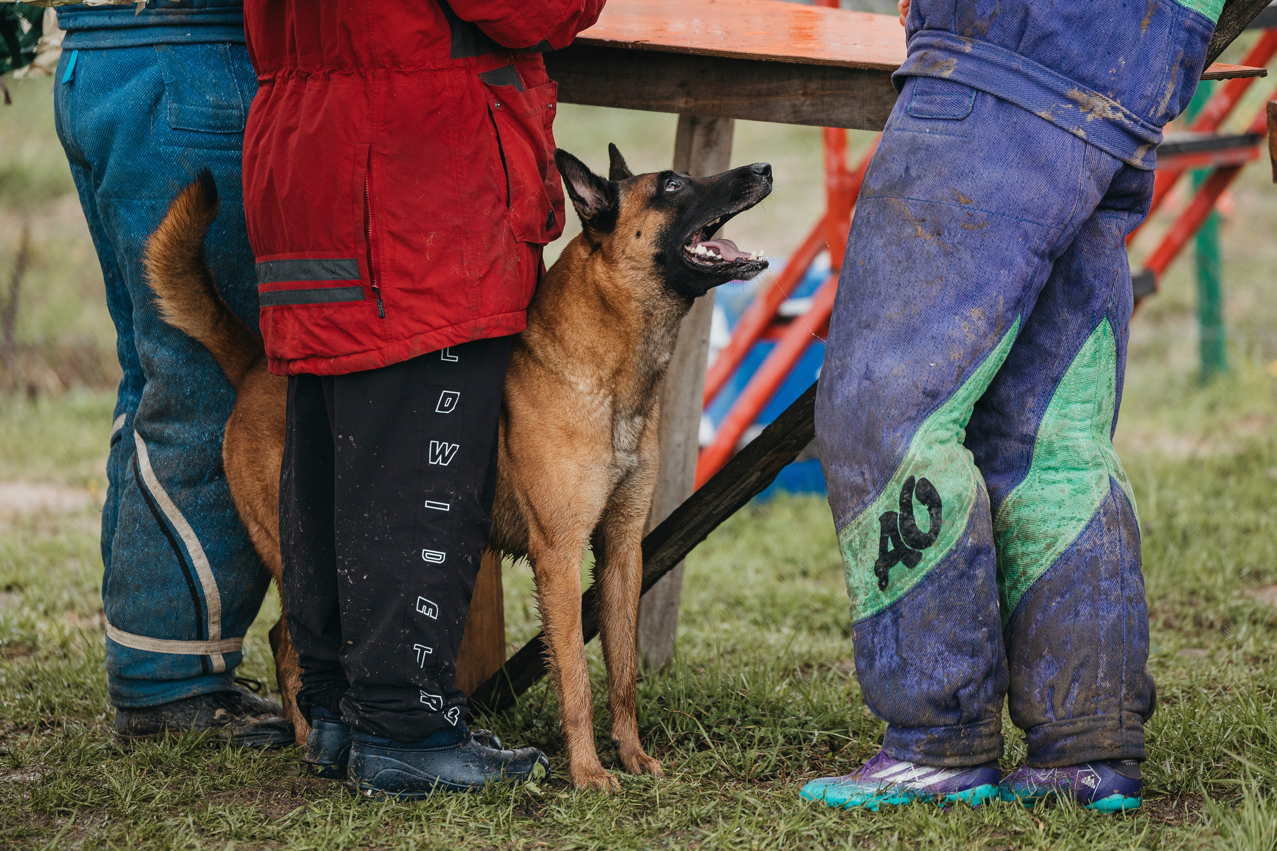 09.05.25 Вологда соревнования. Фотограф-анималист Анна Маринич