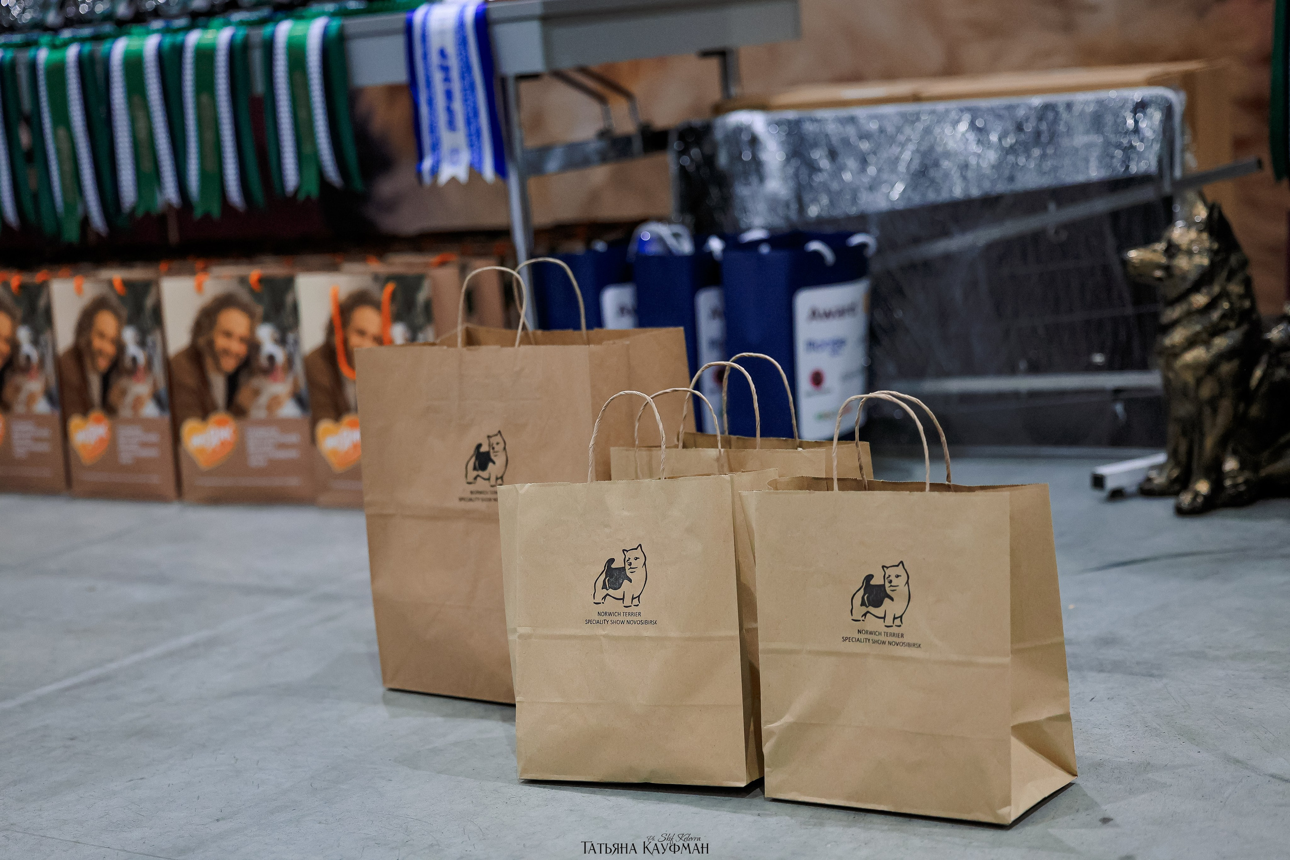 28-29.03.2026 Рейтинговая выставка в Новосибирске. Фотограф Анималист из Новосибирска Татьяна Кауфман