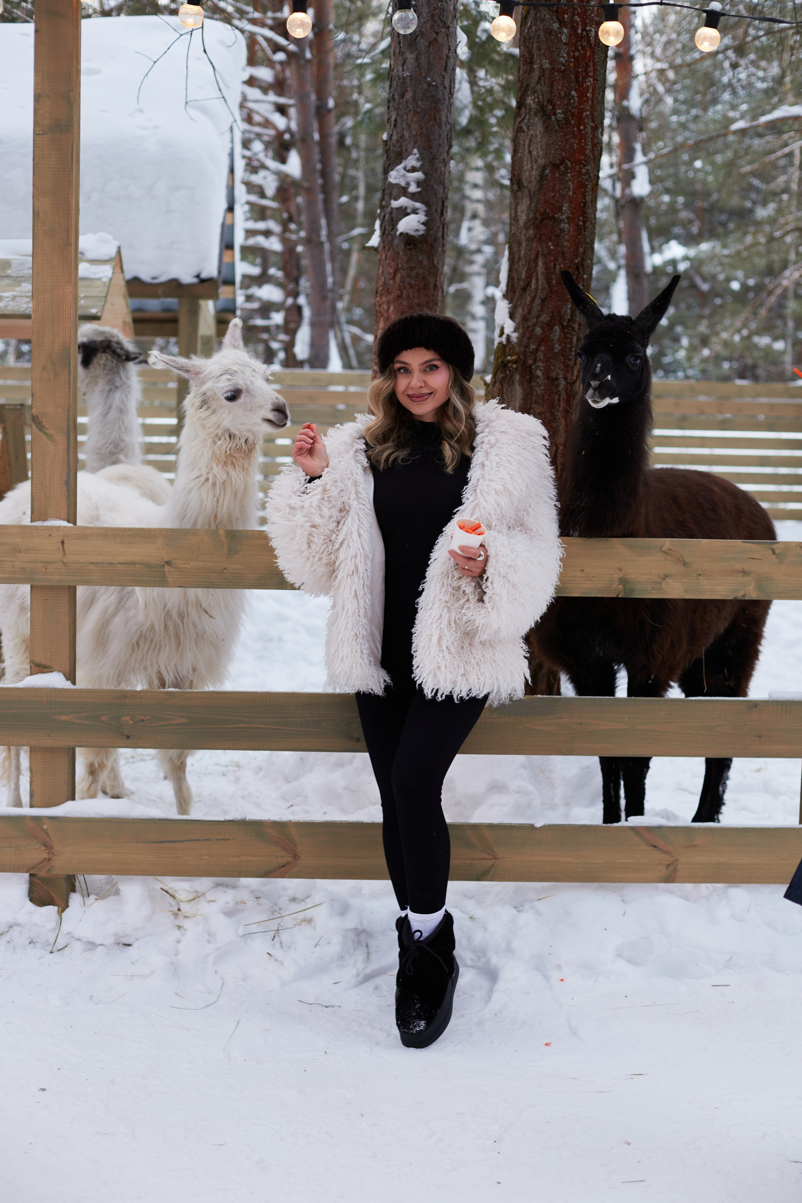 Альпака парк «Симба». Профессиональный фотограф Лилия Галеева