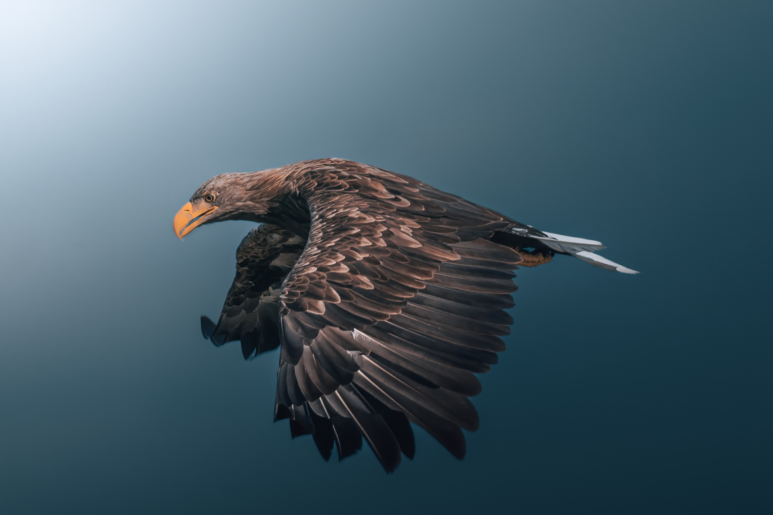 Астраханская область 2025 | Фотограф Дмитрий Купрацевич. Дмитрий Купрацевич профессиональный пейзажный и travel-фотограф