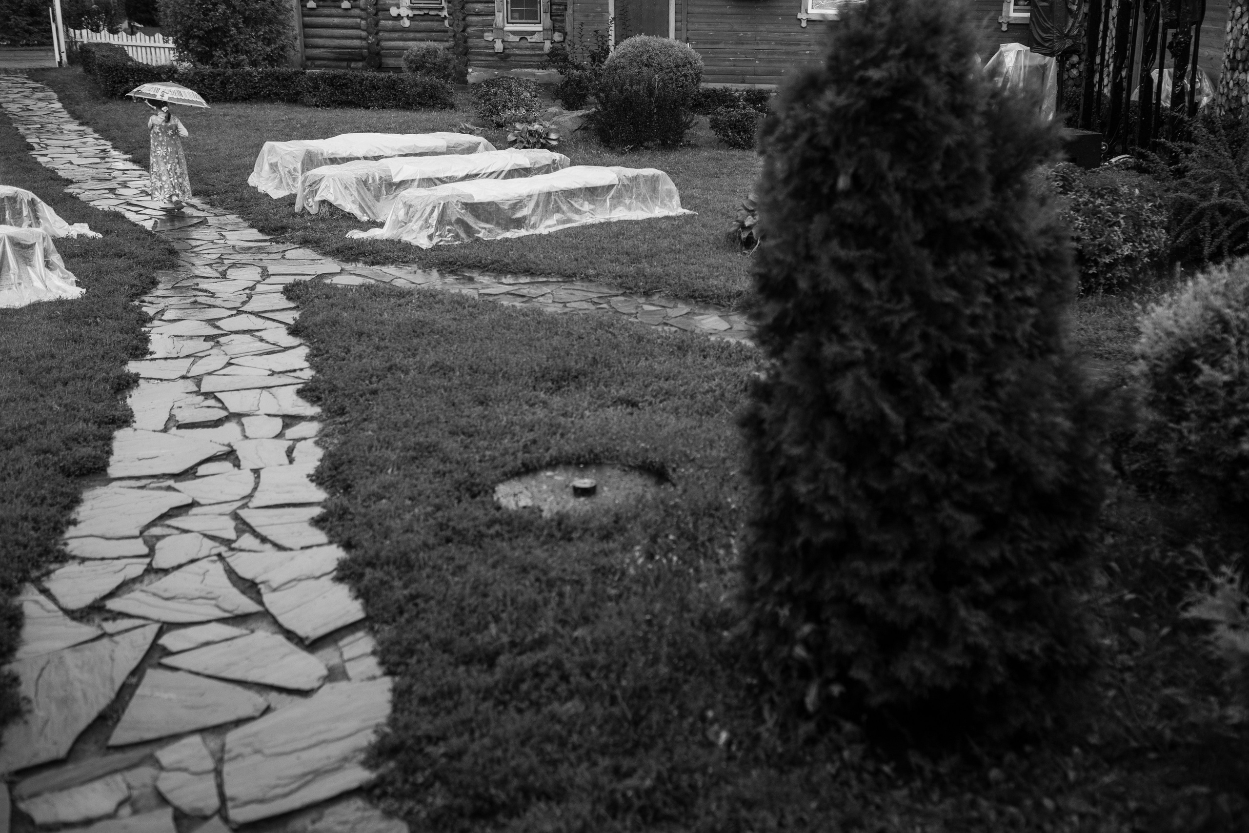 Artem & Viktoria. Wedding and family photographer in Moscow