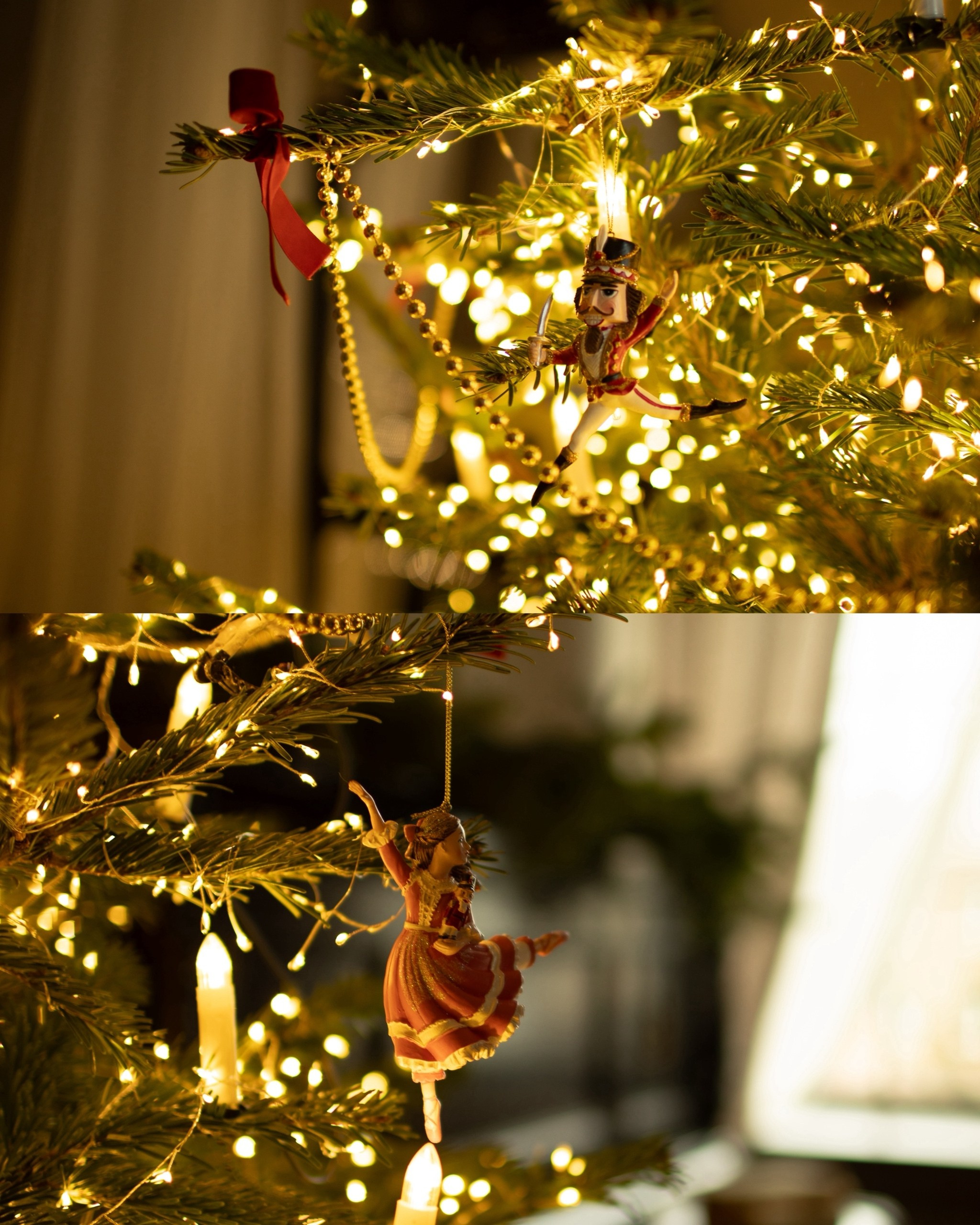 Лес (площадь Карла Маркса, 9). Портретный, семейный, свадебный фотограф в Брянске Маргарита Василькова