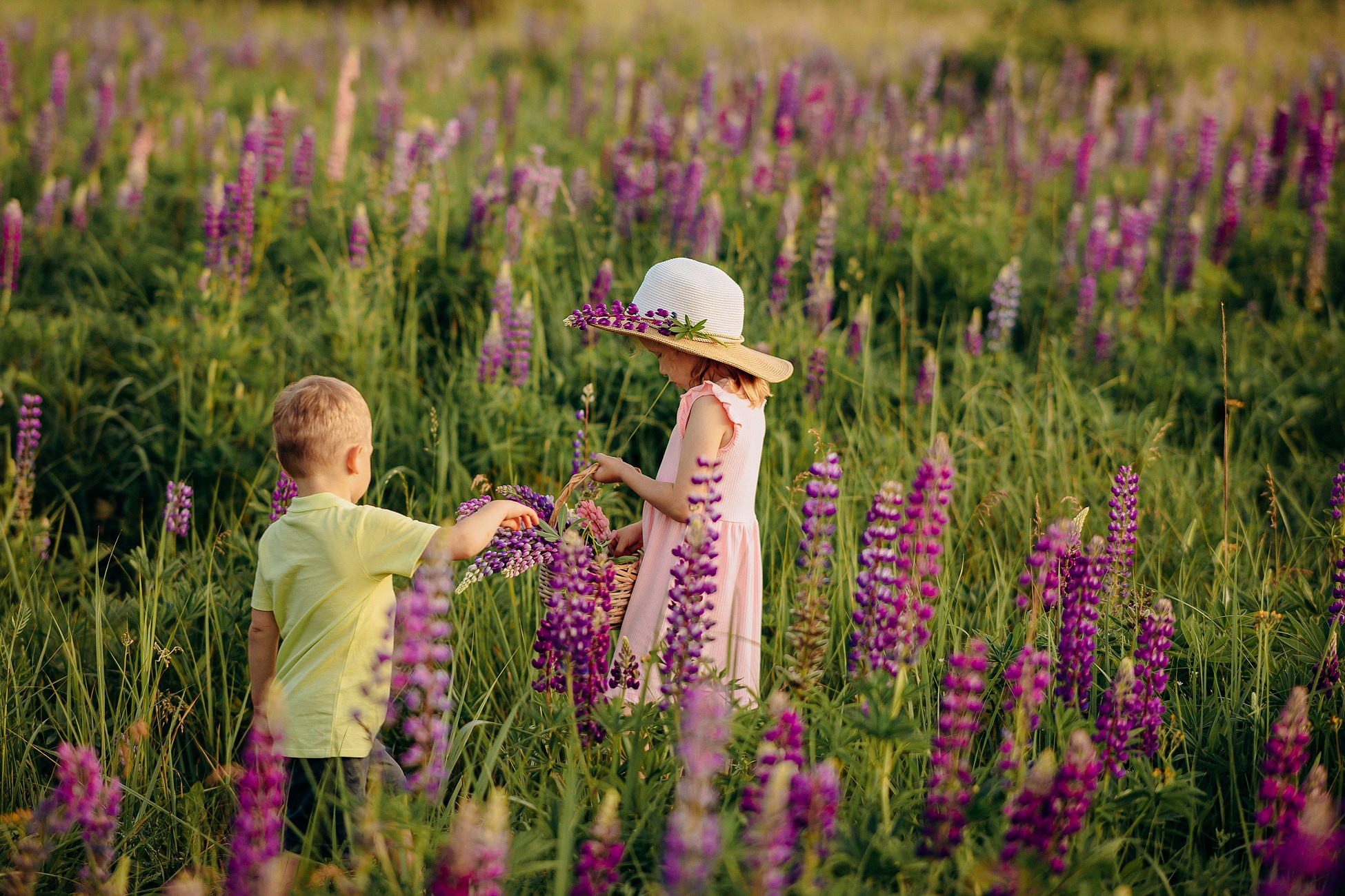 Прогулка в люпиновом поле. Семейный фотограф в Пензе Мария Левина