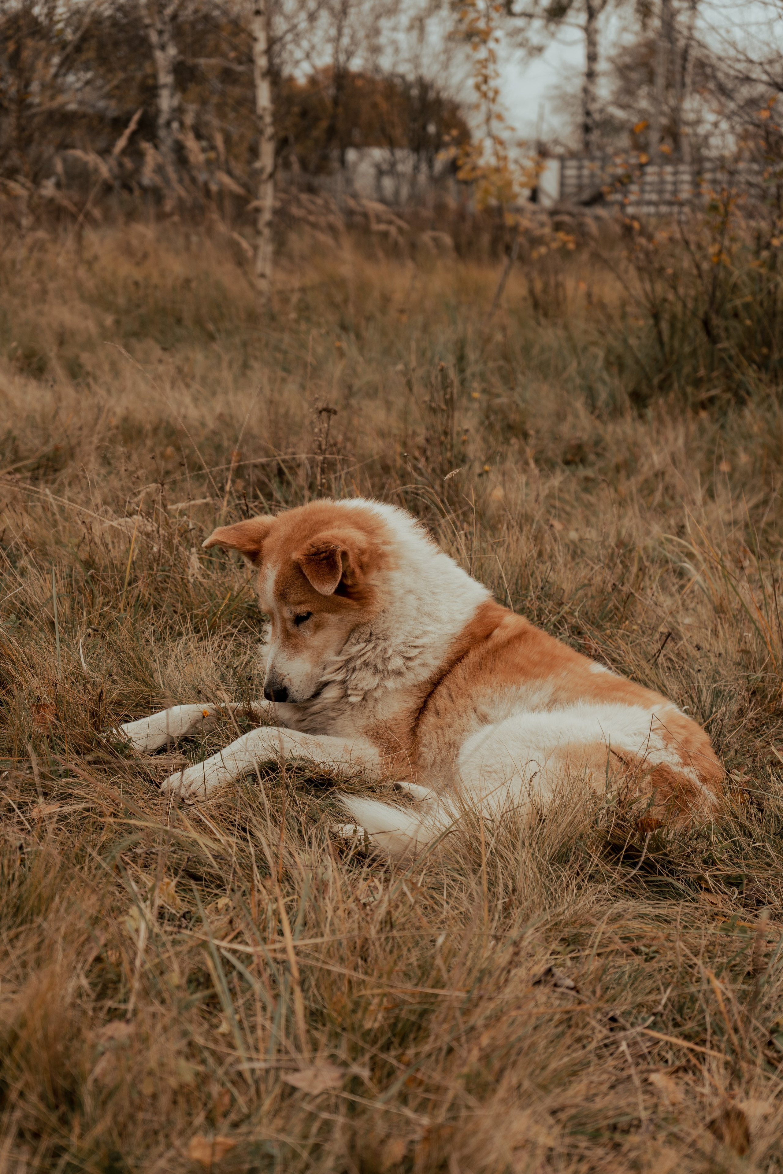 «Острые Козырьки». Портретный фотограф Нижний Новгород