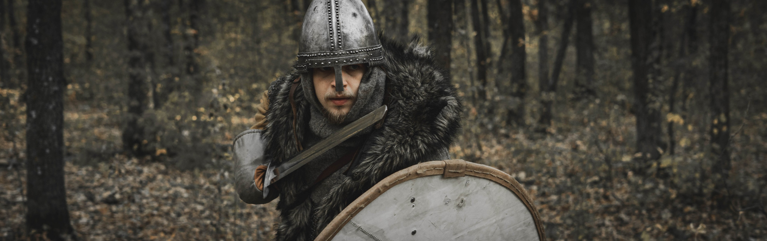 Викинг. Ab extra