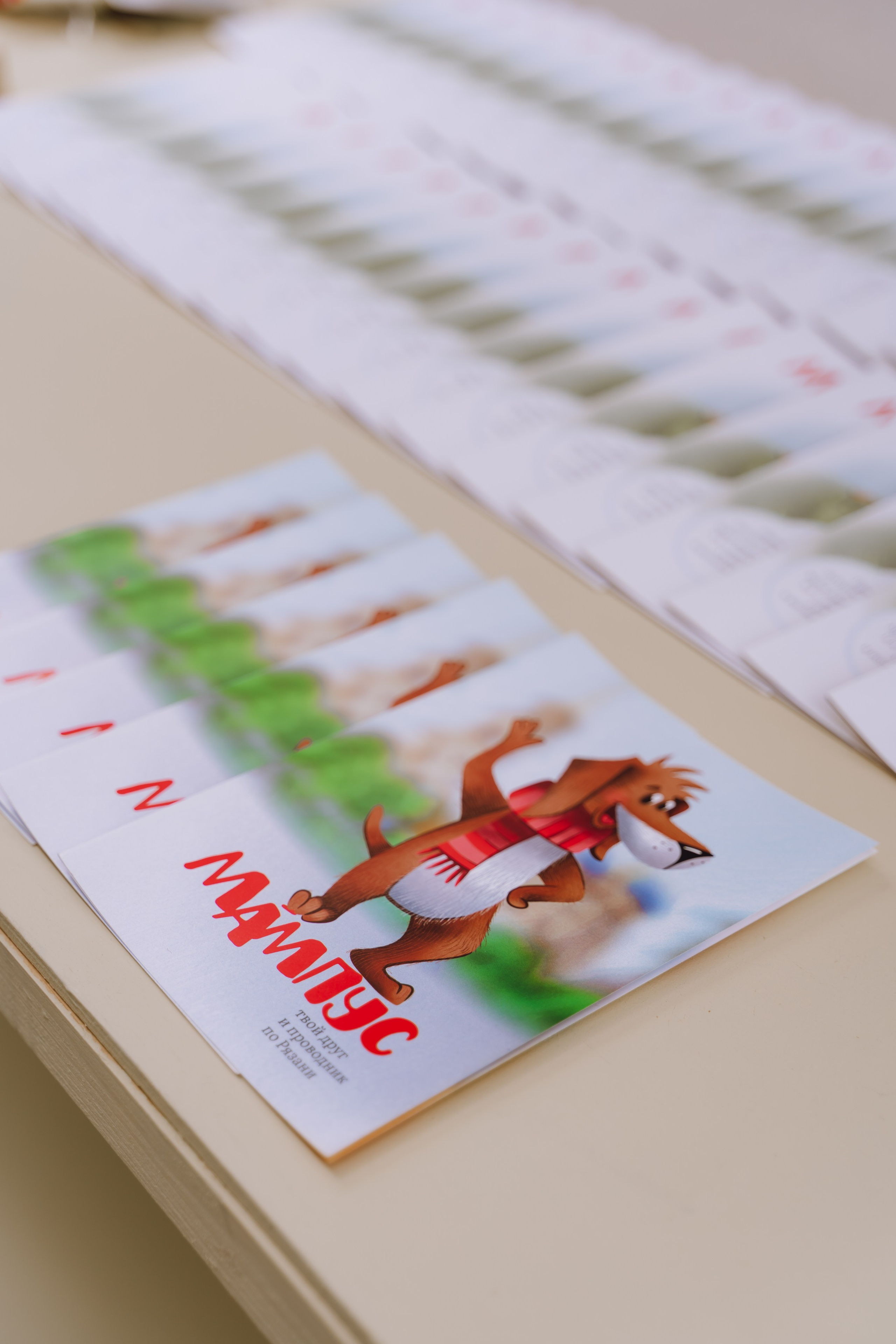 Площадка фестиваля «Мампус и его друзья» в Лесопарке 2025. Фотограф Надежда Погребняк | Рязань | Москва