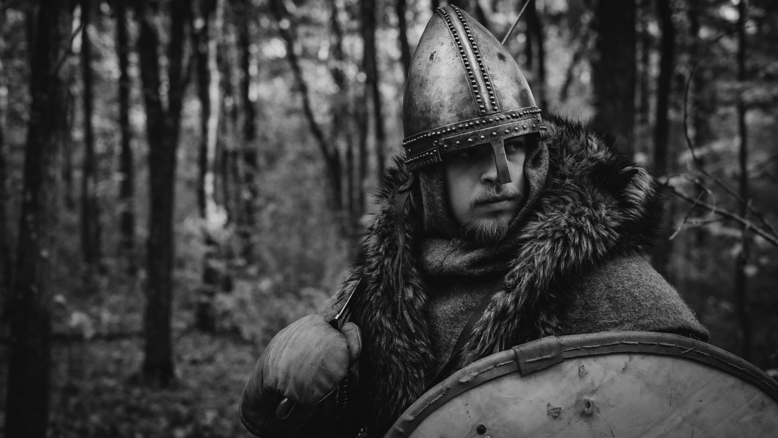 Викинг. Ab extra