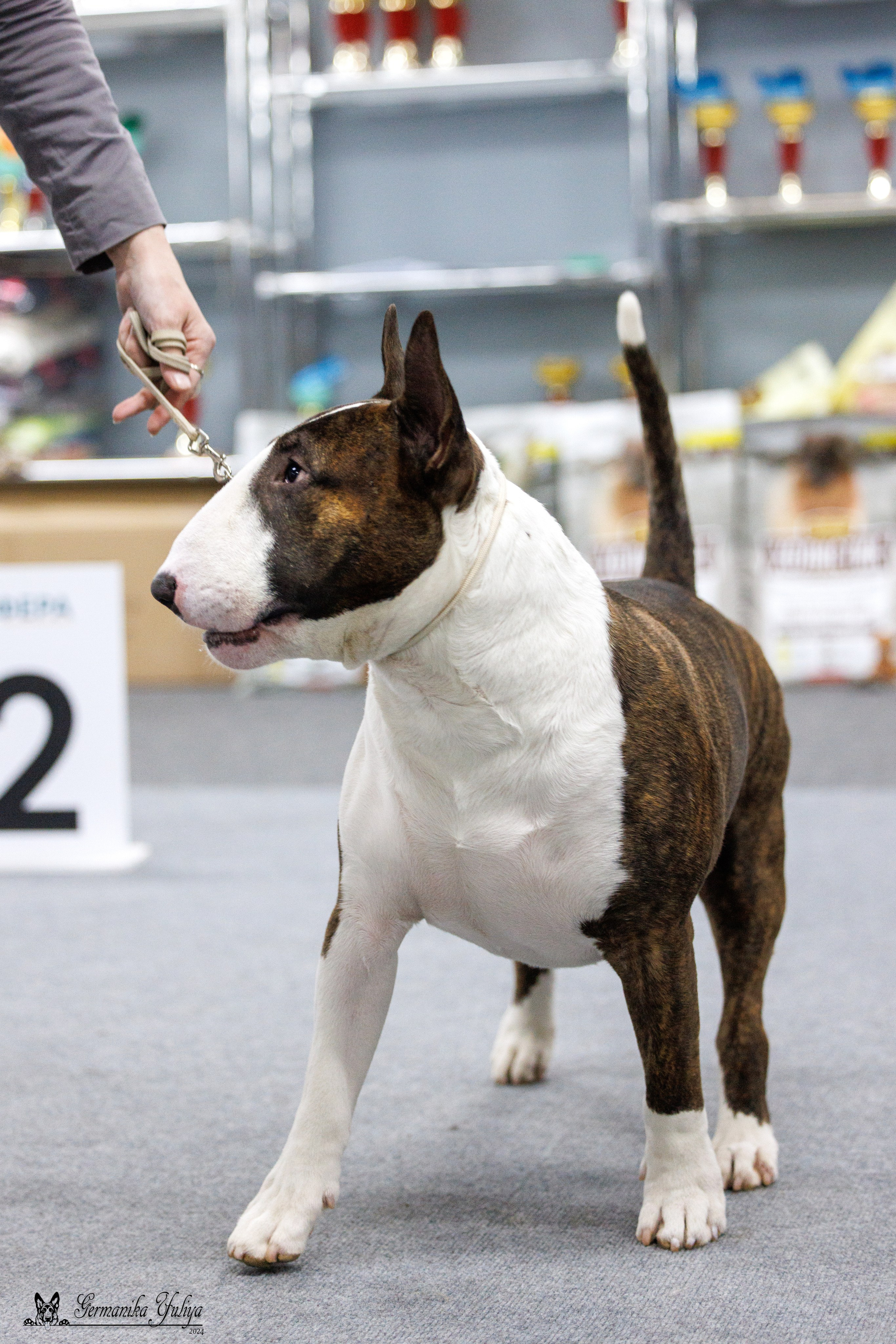 Сфера 28.01. и 4.02.2024. Фотограф-анималист Юлия Германика