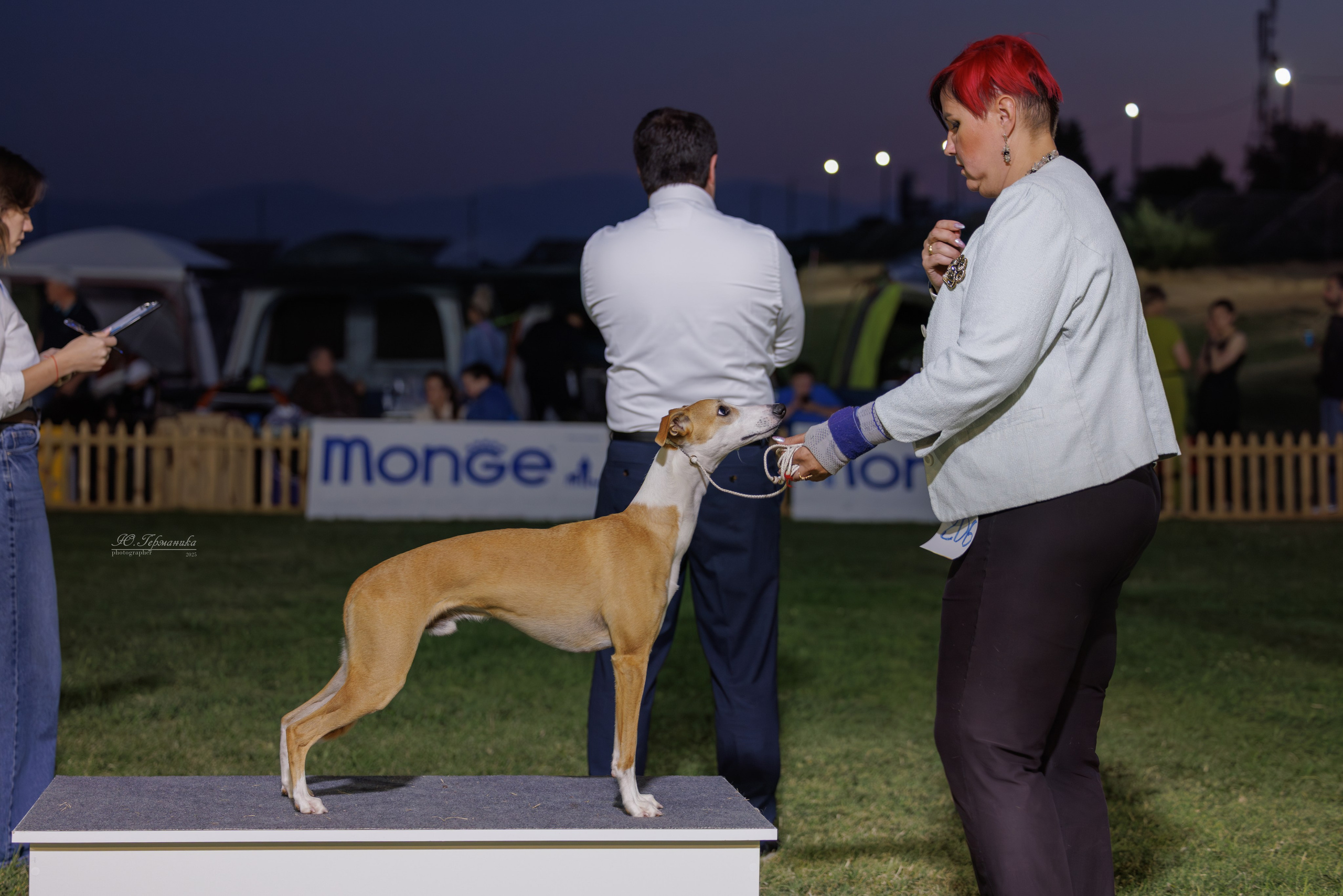 Ереван 3хCACIB 23-25.06.2025. Фотограф-анималист Юлия Германика