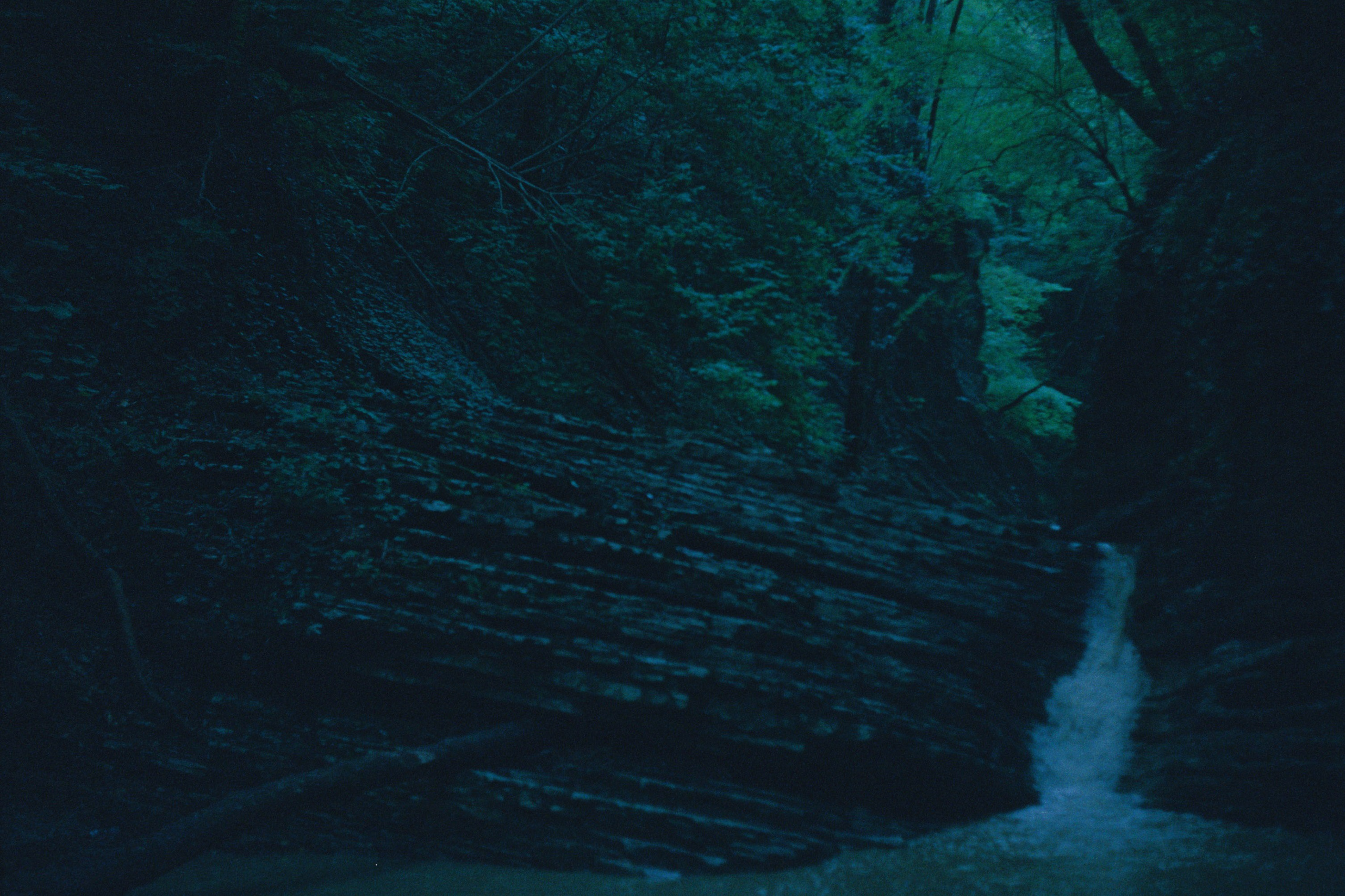 Sochi \ august 2022 \ film 35. Коммерческий Фотограф Виктор Фоменых