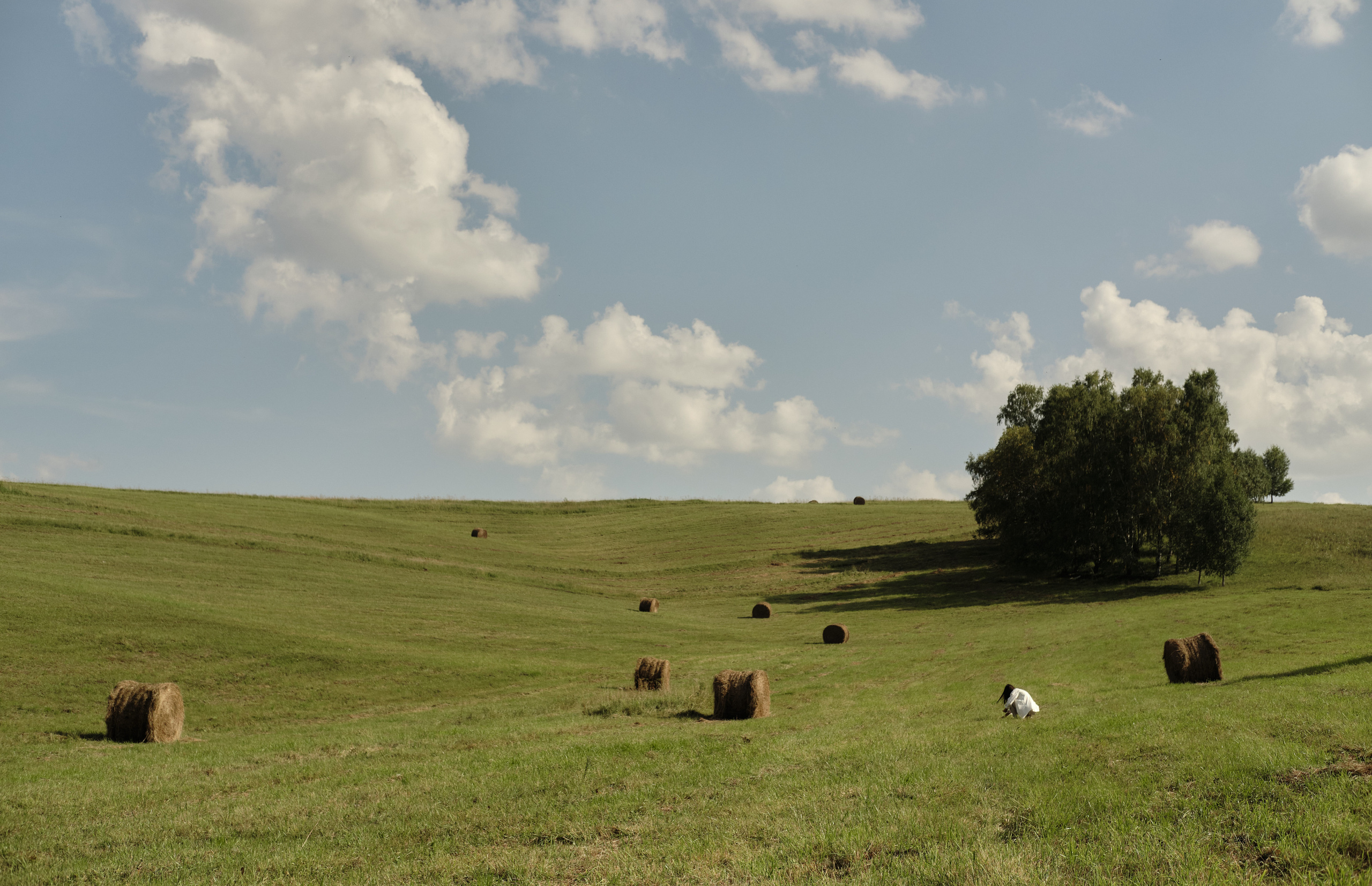 Алина. Фотограф в Новокузнецке Анна Абузярова