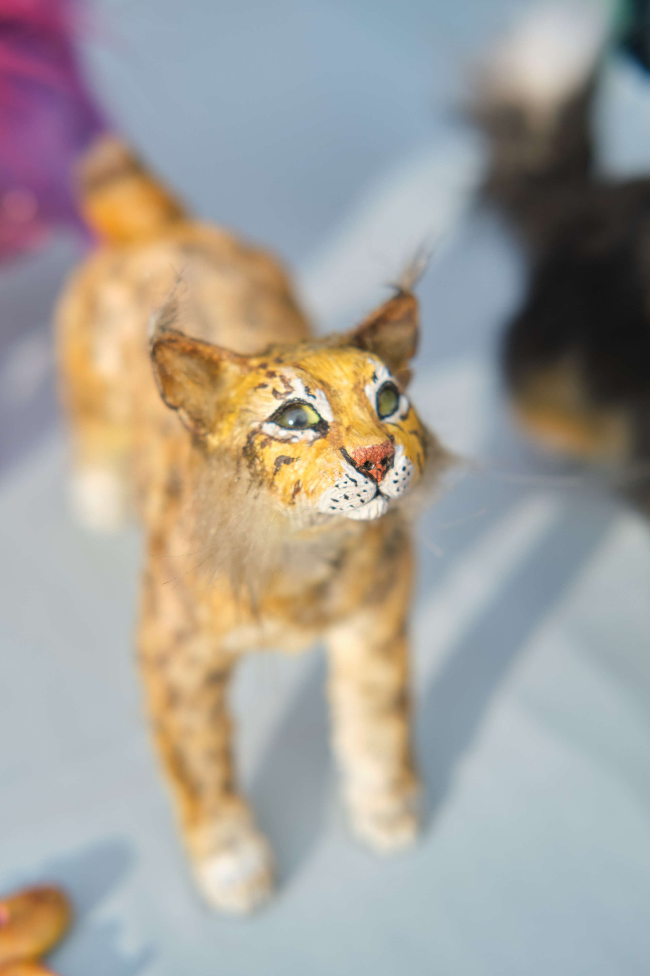 День семьи, любви и верности 2022. Фотограф в Новокузнецке Анна Абузярова