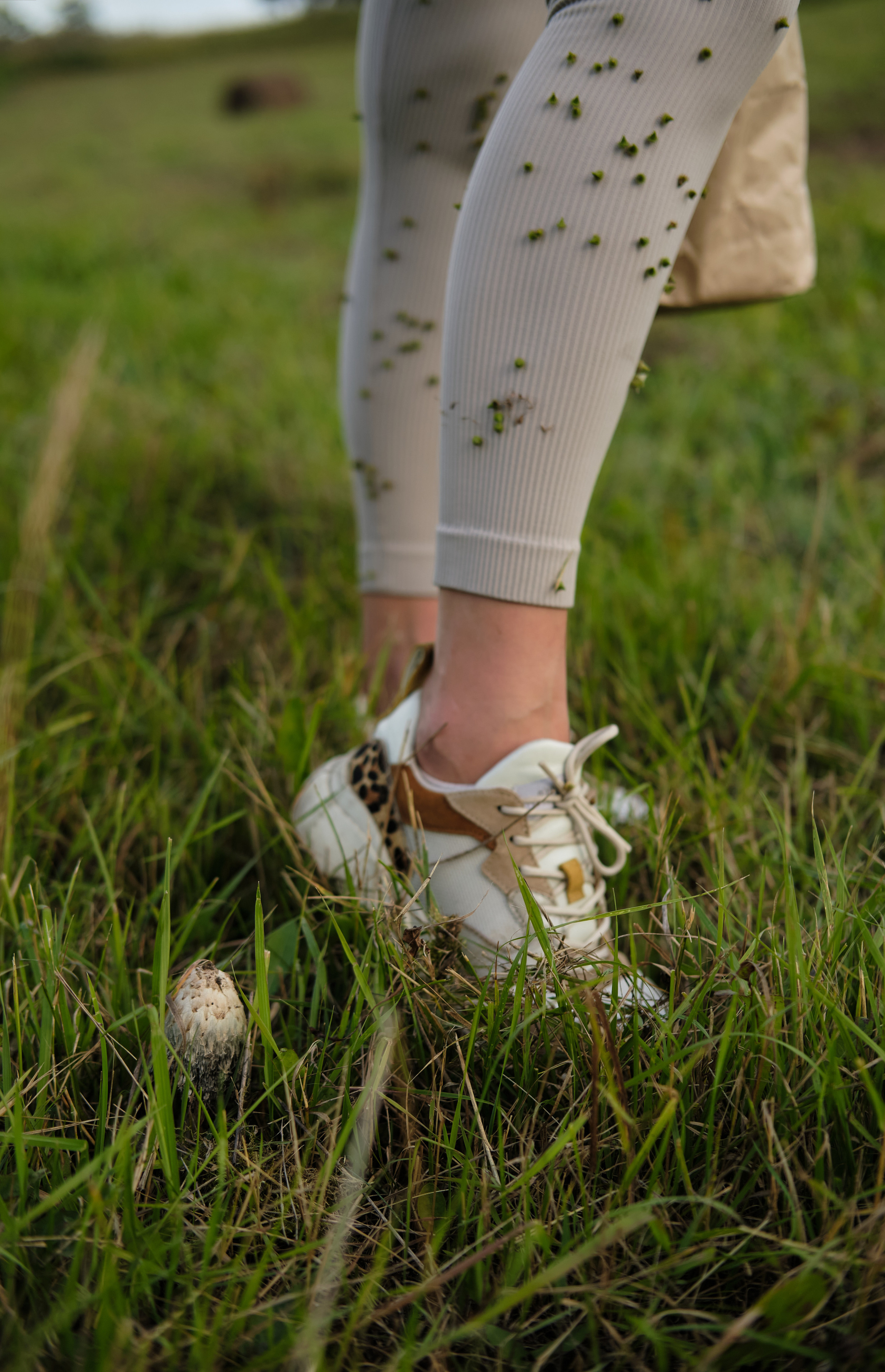 Алина. Фотограф в Новокузнецке Анна Абузярова