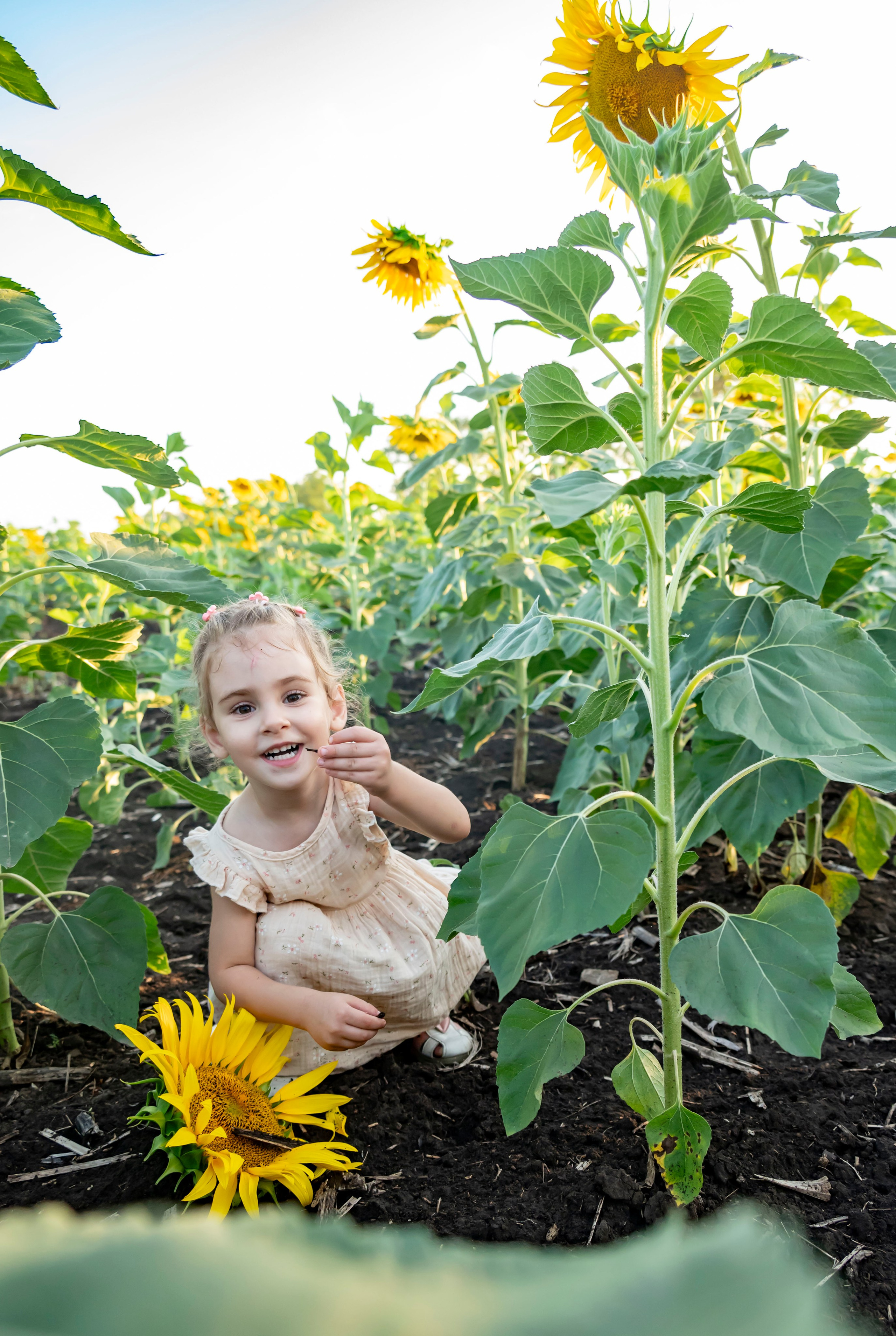 Летняя прогулка. Главная