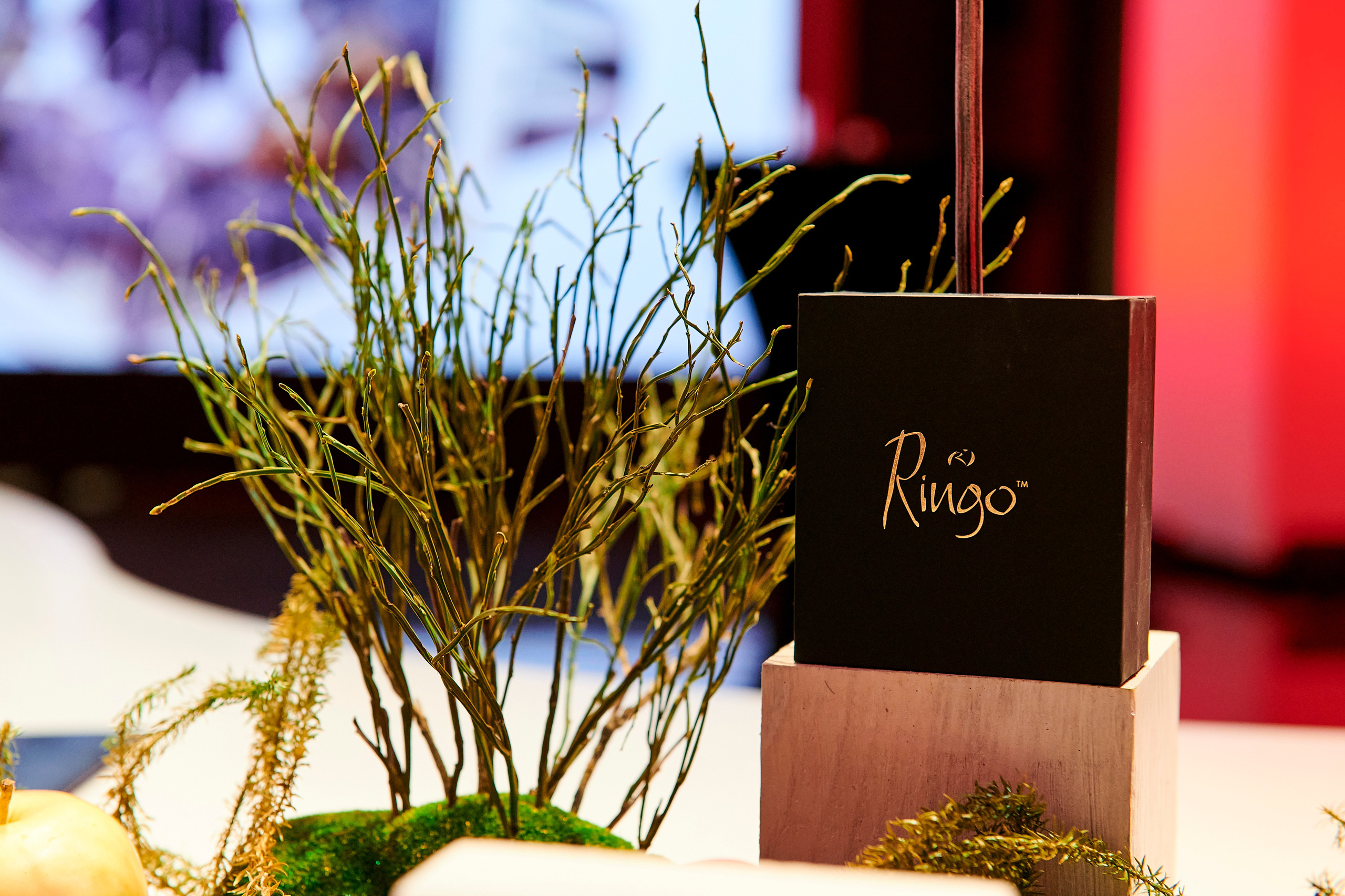 Ювелирный дом Ринго «Драгоценная история Урала». Фотограф Постольник Дарья