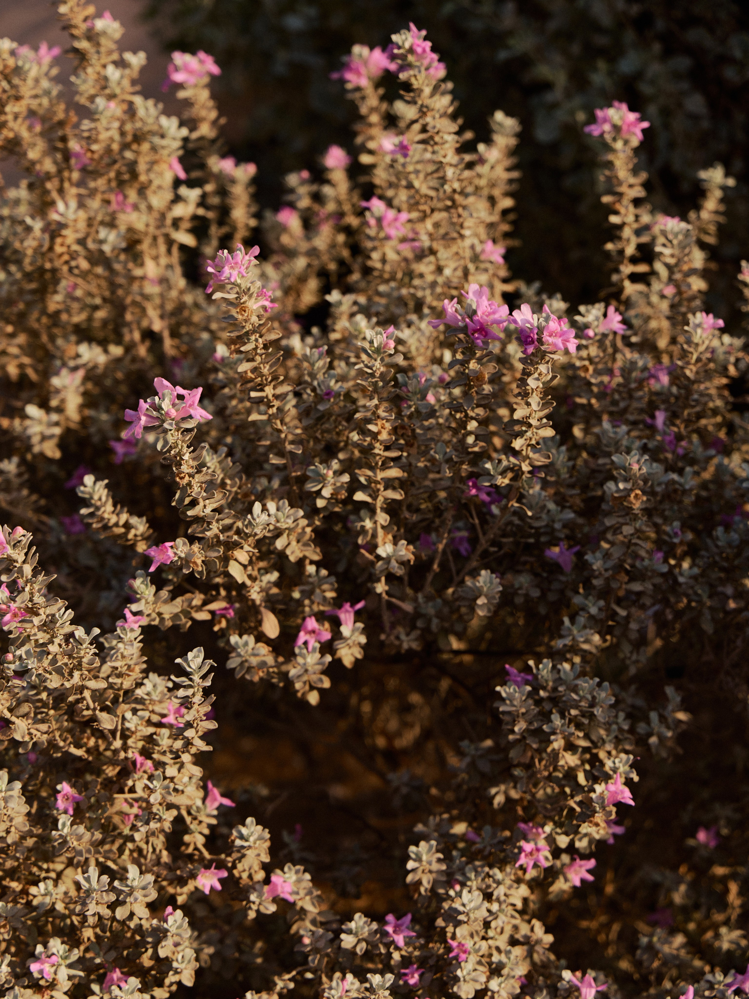 Другое 3. Jorgis — фотограф в Хургаде / обучение фотографии