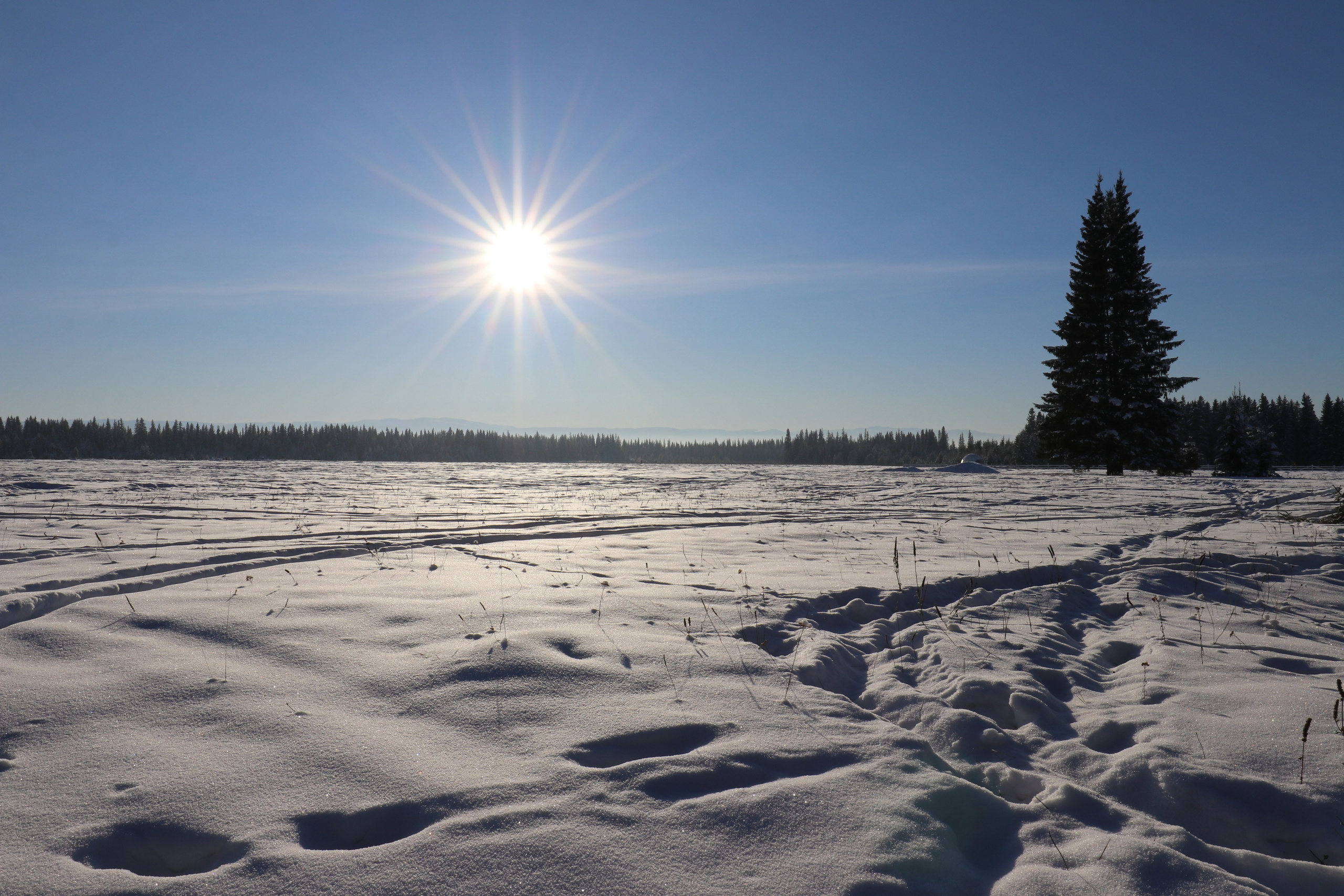 Аршан. Январь 2022. Путешественник-фотограф из Санкт-Петербурга Татьяна Свистулина