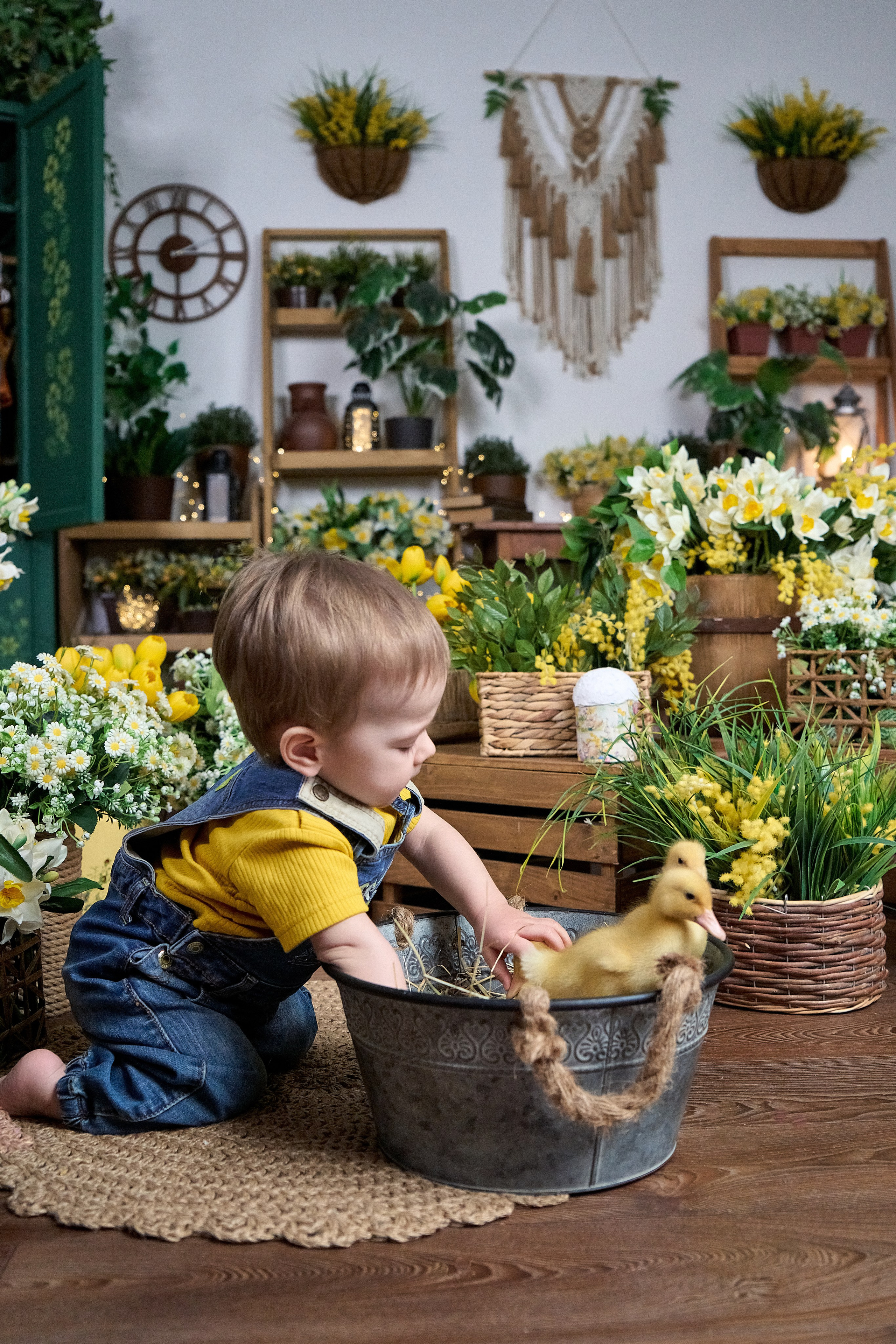 Пасхальная фотосессия с животными в&nbsp;студии «Антураж» Краснодар