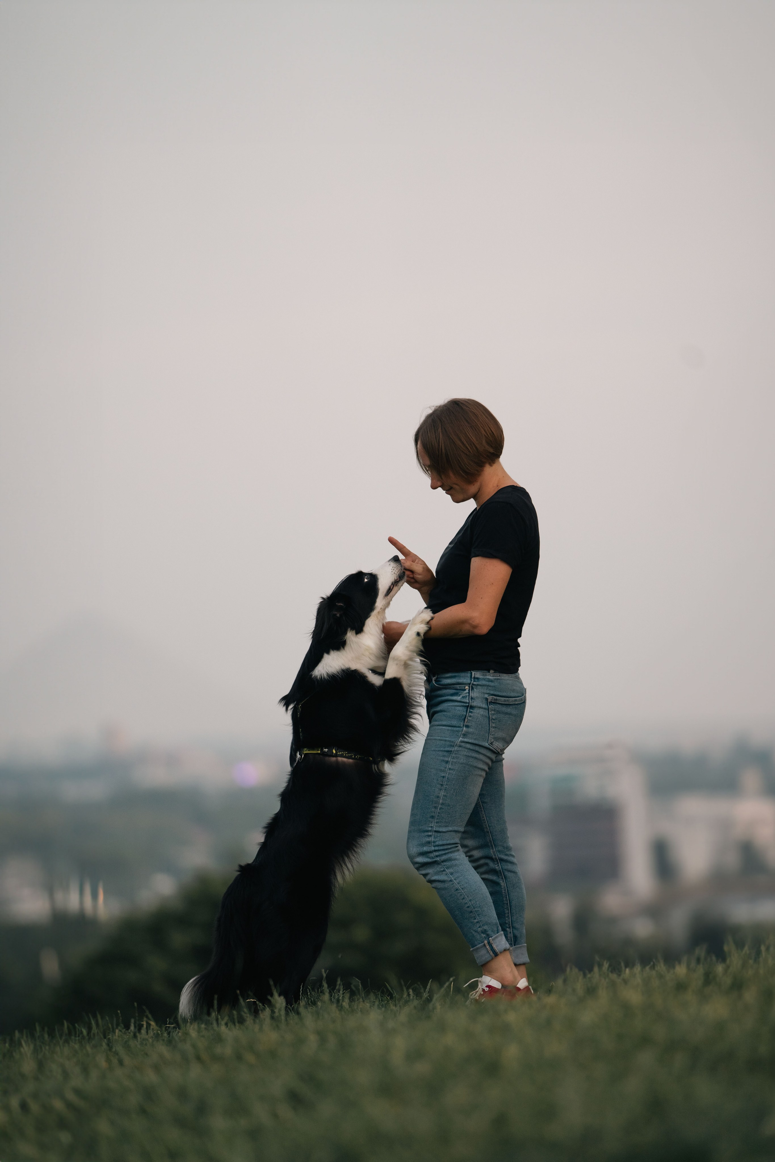Белград, Калемегдан. Таня и Шегги. Фотограф анималист