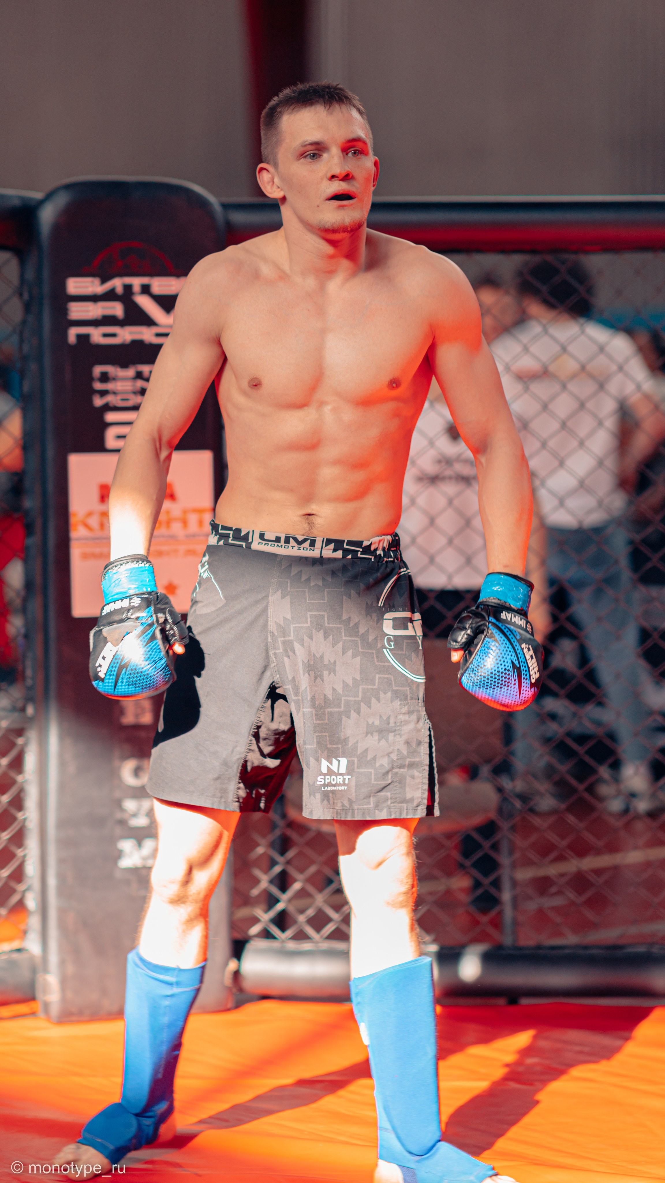 MMA. Бойцовский турнир