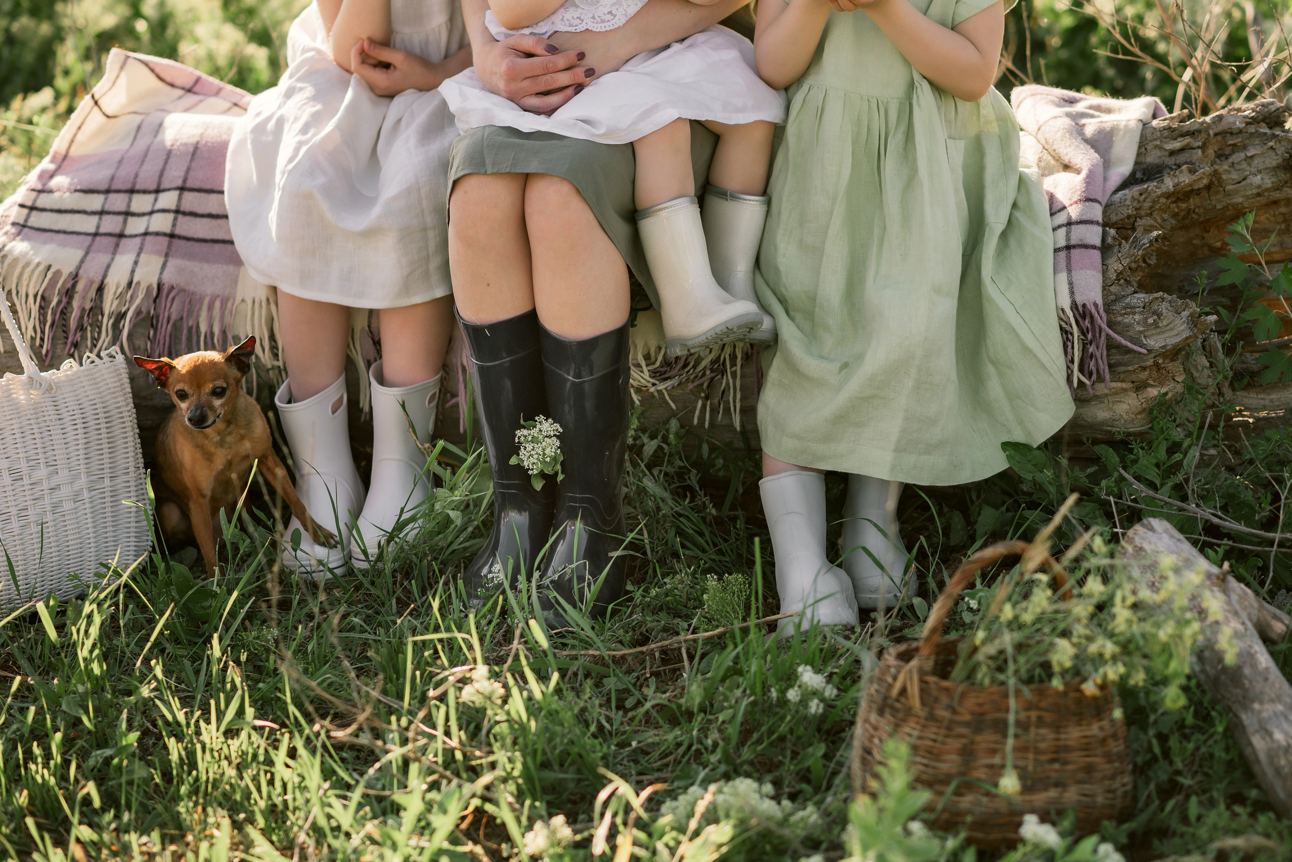Девичьи прогулки. Главная