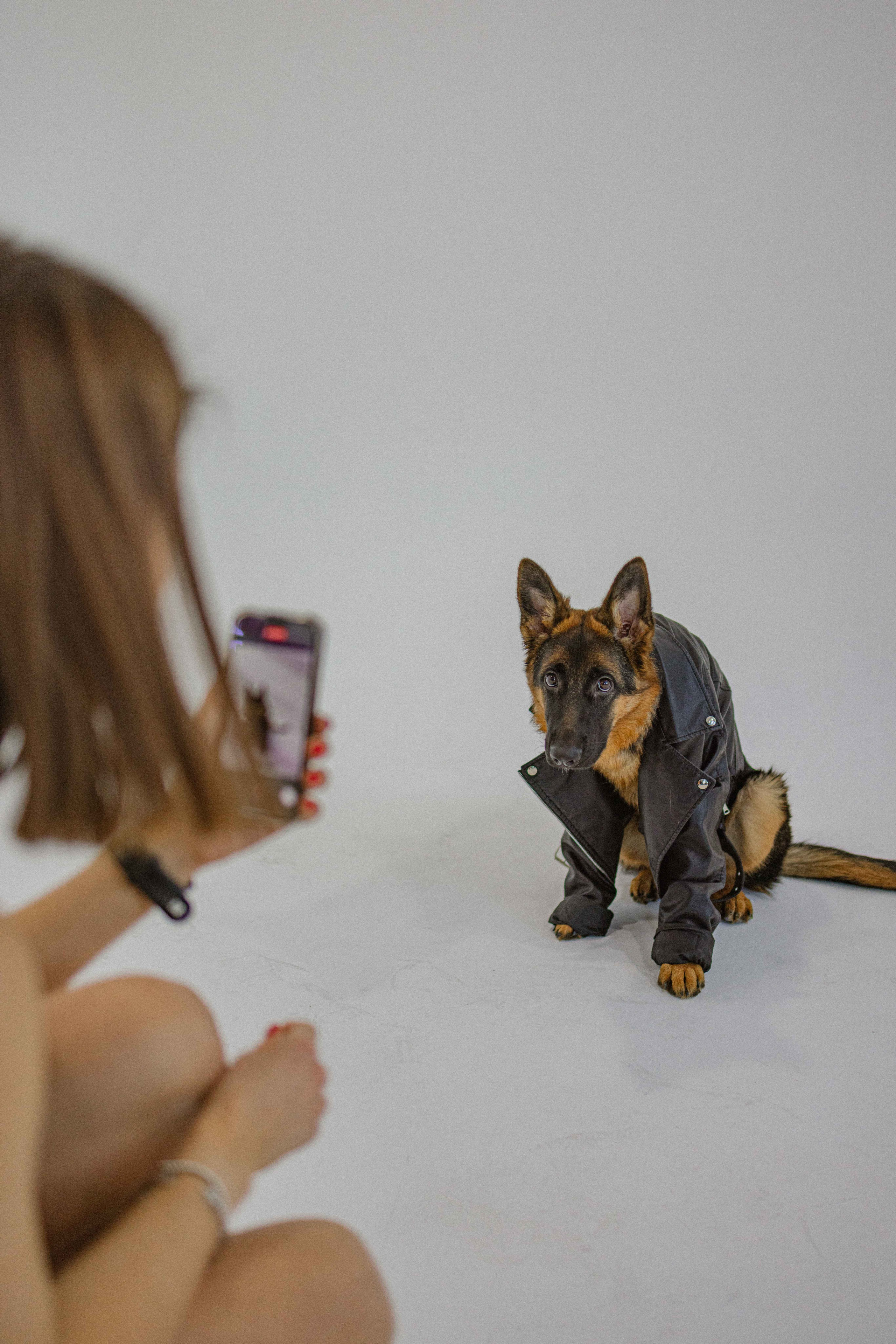 Ася и Буся. Фотограф-анималист в Москве Лера Черноног