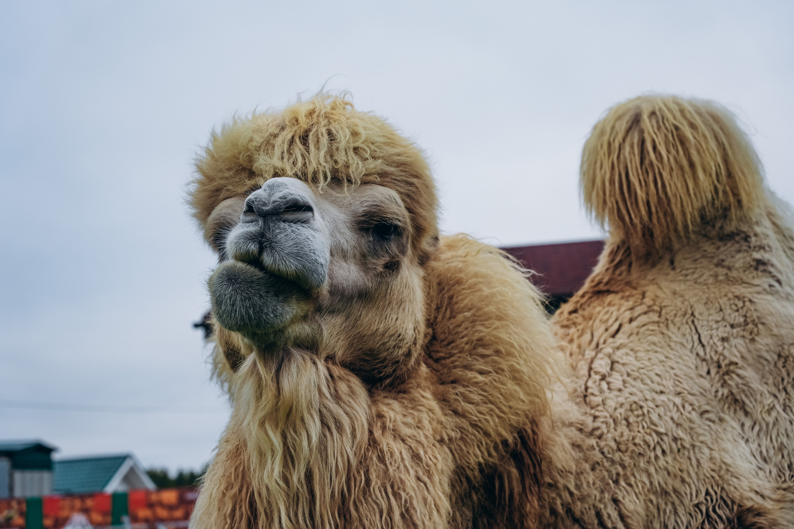 СЕВЕР. Event фотограф Степанова Александра
