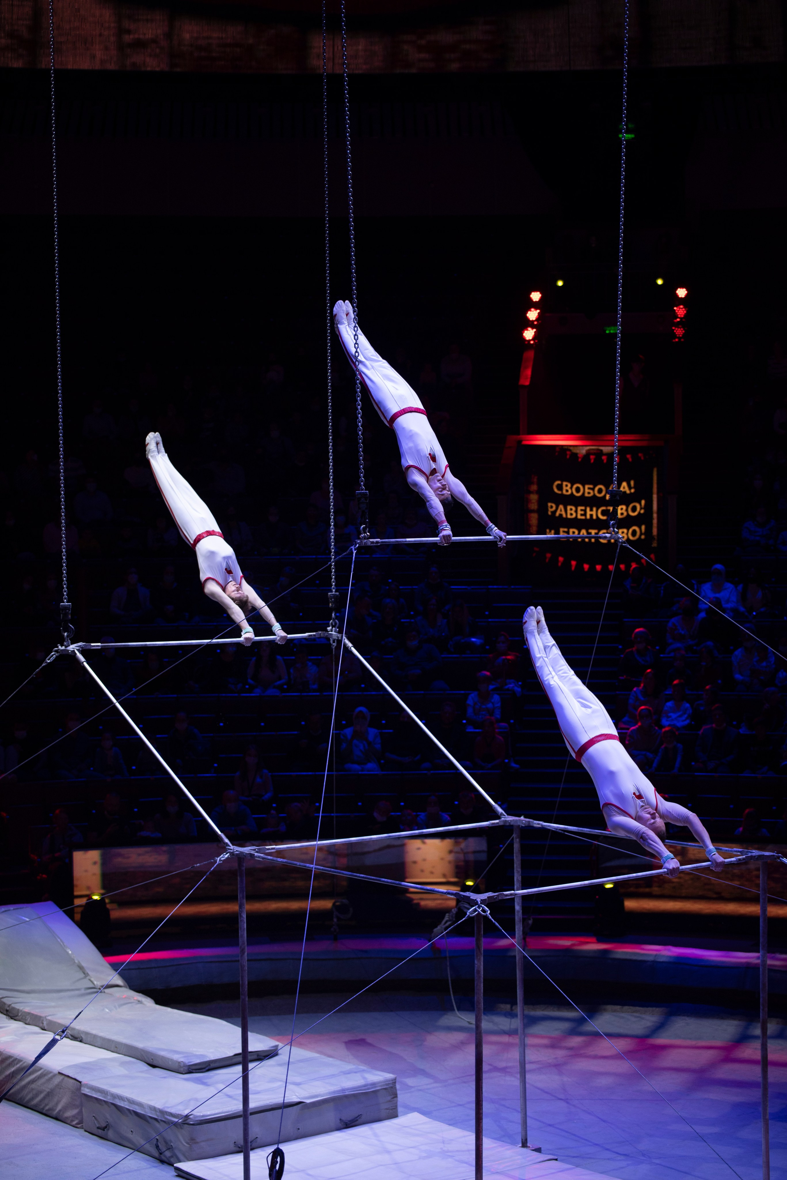Цирк Запашных — Шоу И100рия. Женский и семейный фотограф в Москве, Железнодорожном Анастасия Кинёва