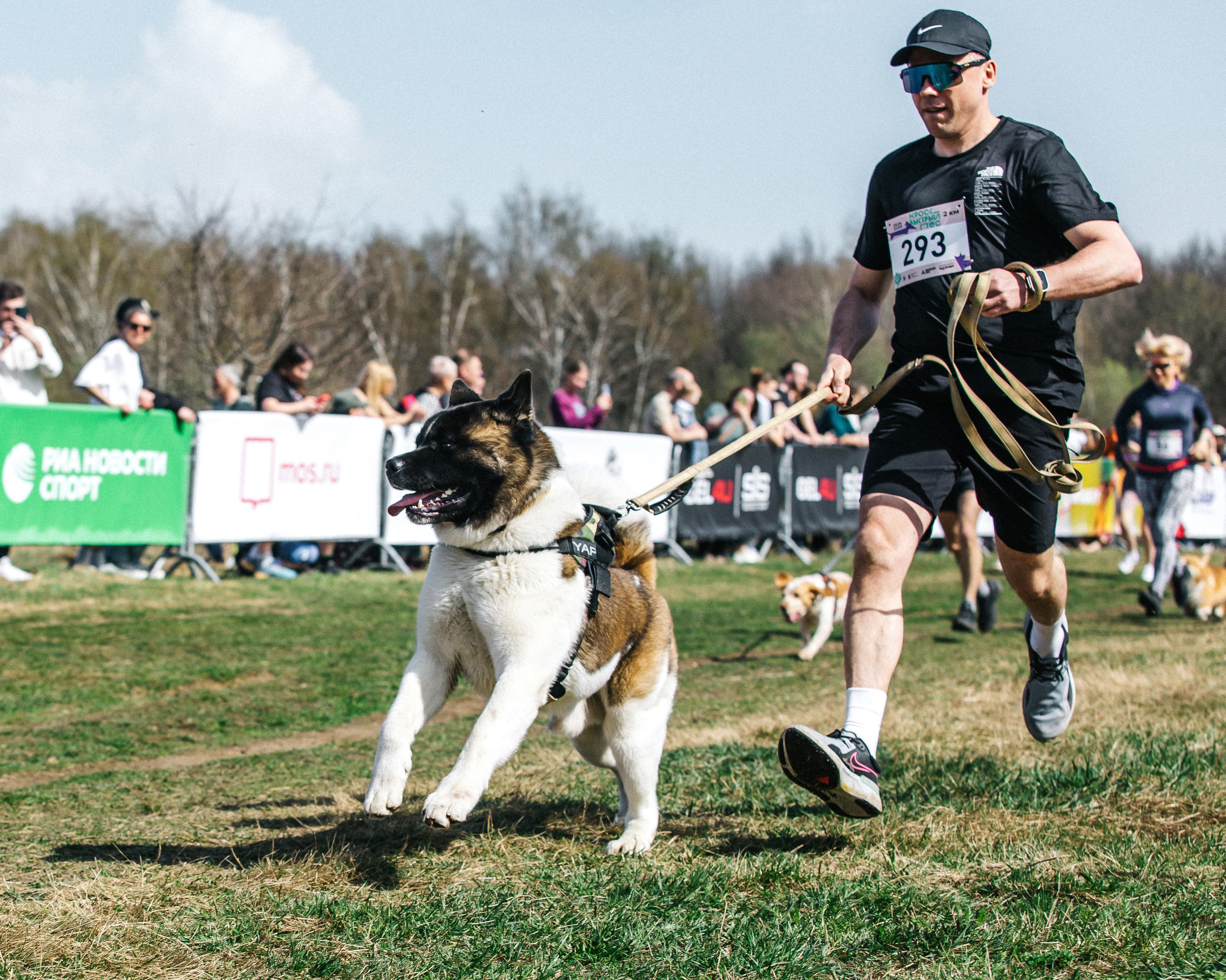 Кросс «Быстрый пёс» 2025. Репортажный фотограф в Москве