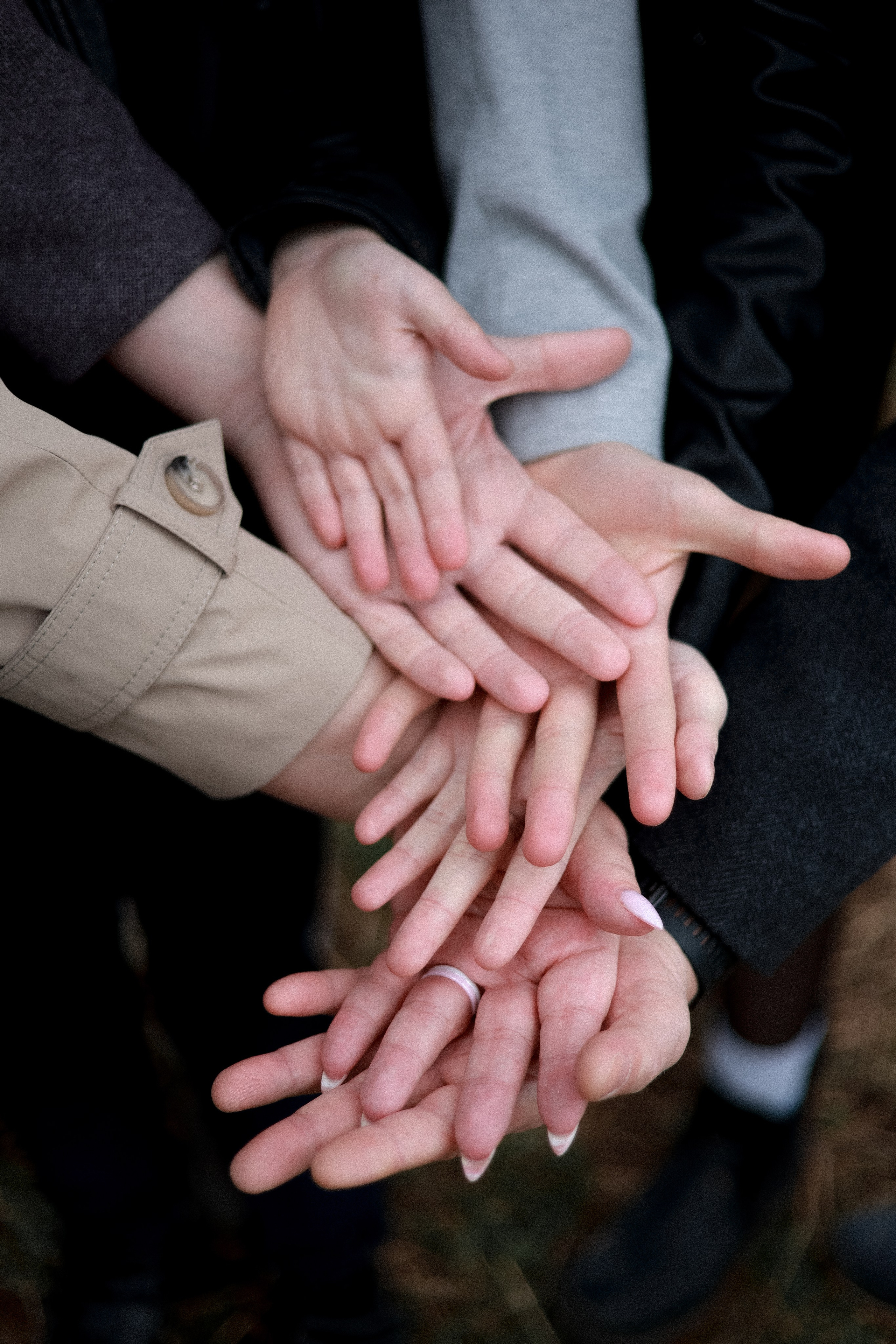 Осень осень. Фотограф НатаФото (Наталья Яковенко) Дмитров Москва Питер