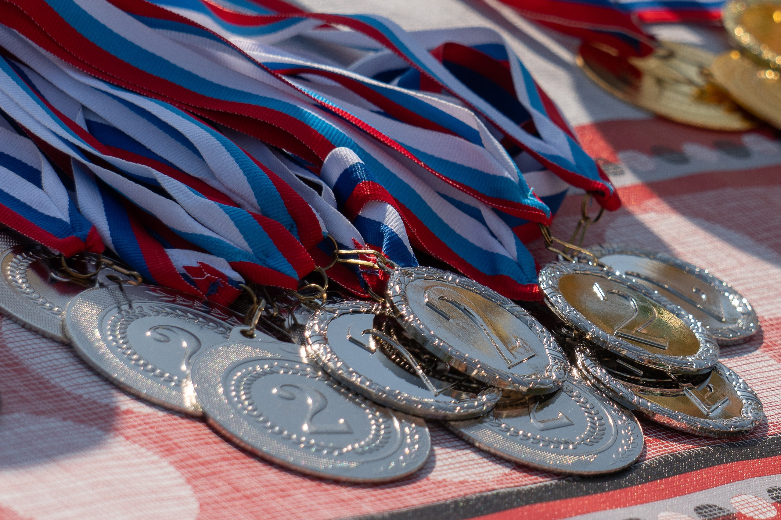 медали ждут своих обладателей, кубок дружбы регионов по конкуру в Луганске