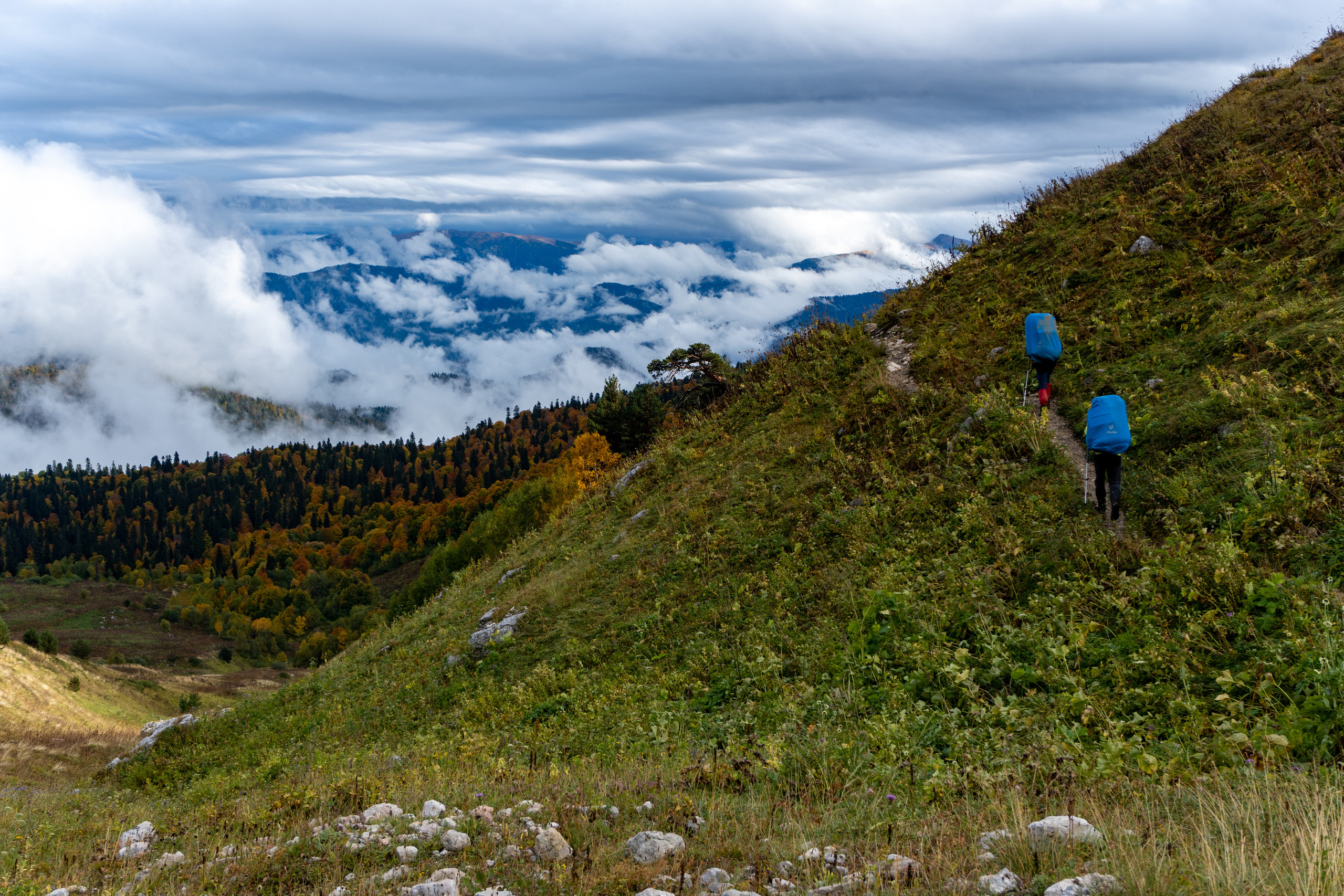 Лето. Горный фотограф в Красной Поляне