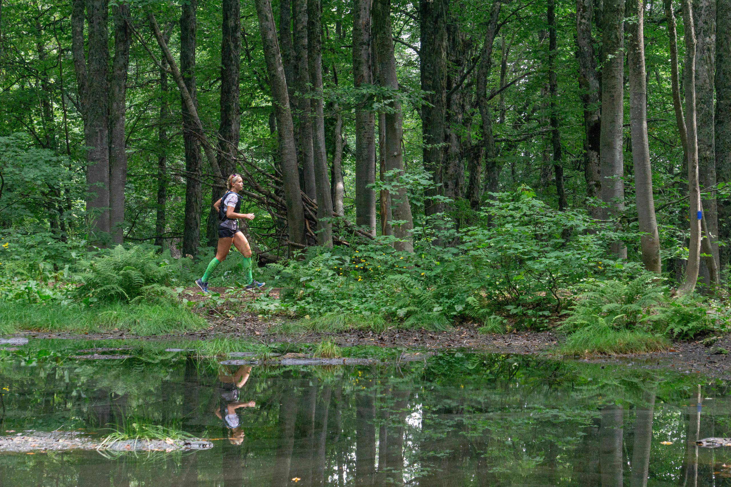 Лето. Горный фотограф в Красной Поляне