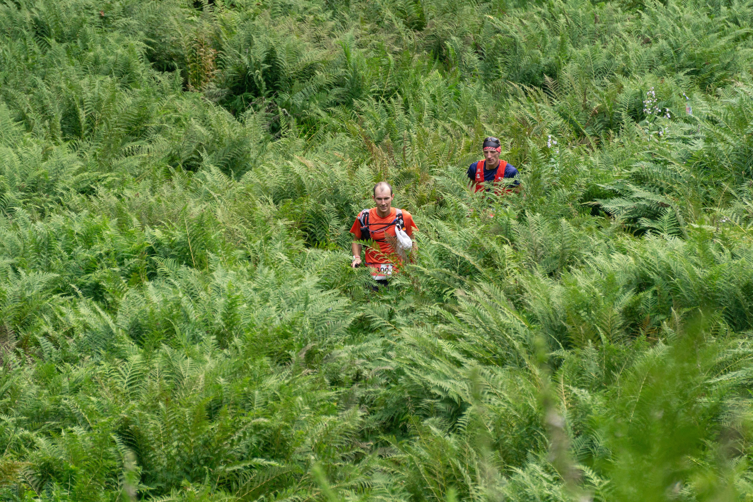 Лето. Горный фотограф в Красной Поляне