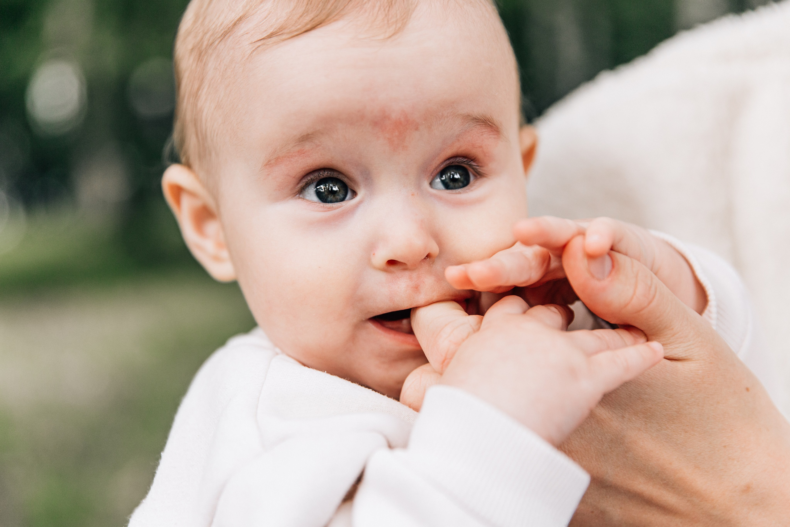 Аня, Вера, Кира и мама. Фотограф-анималист в Москве Соломонова Варвара