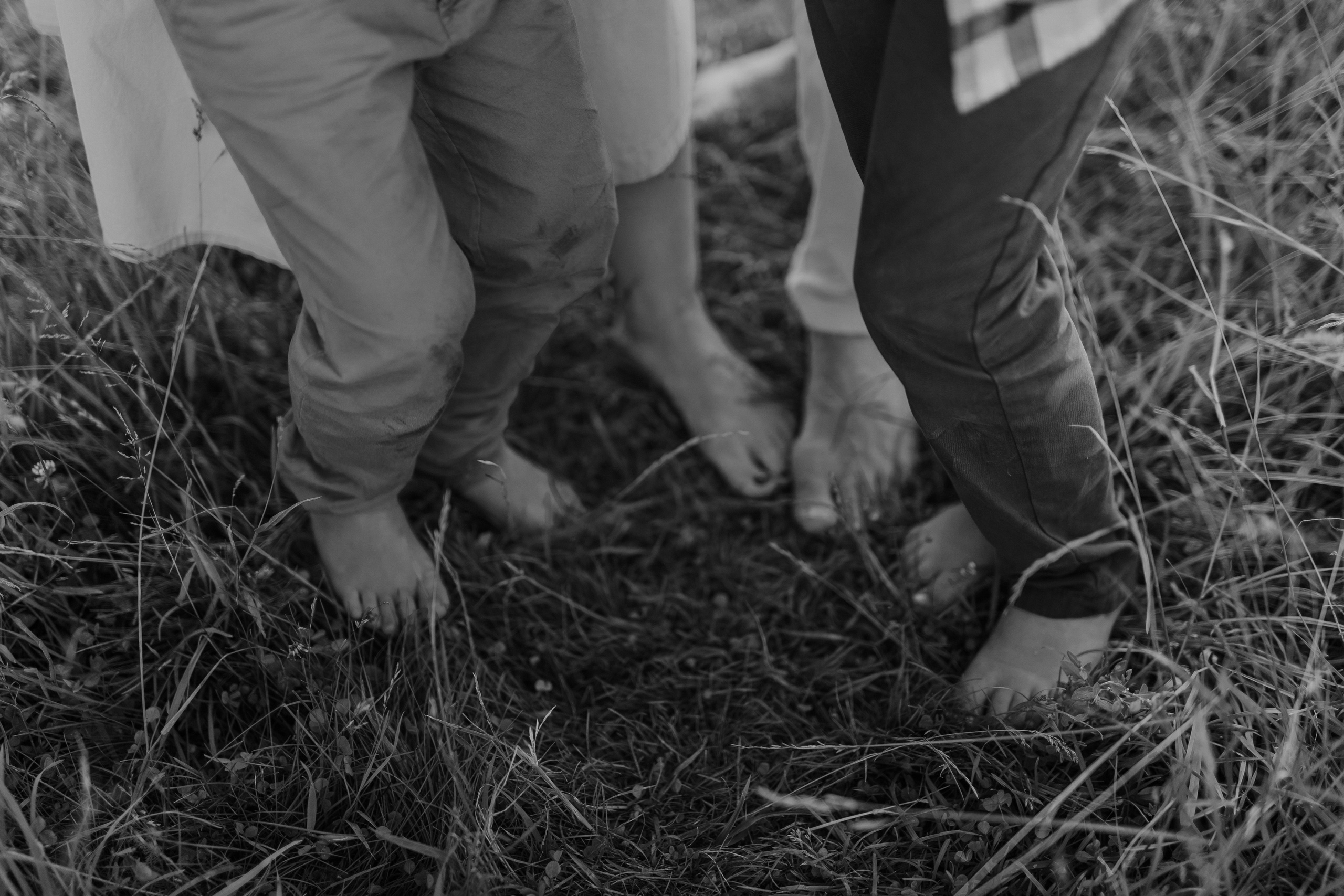 Четверо и собака. Свадебный и портретный фотограф в Москве, Туле и Брянске Дара Евсеева