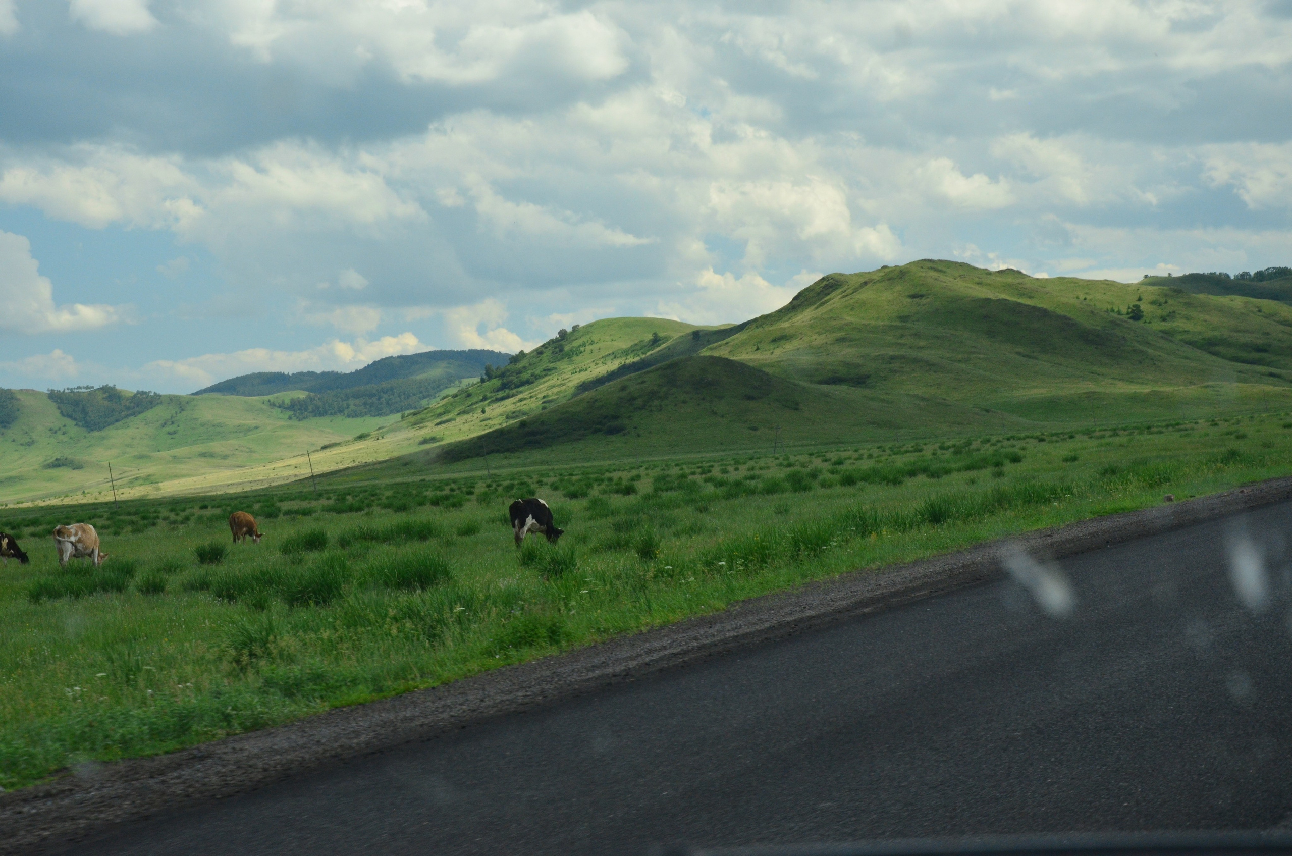 Дары природы. Фотограф viktor viktor