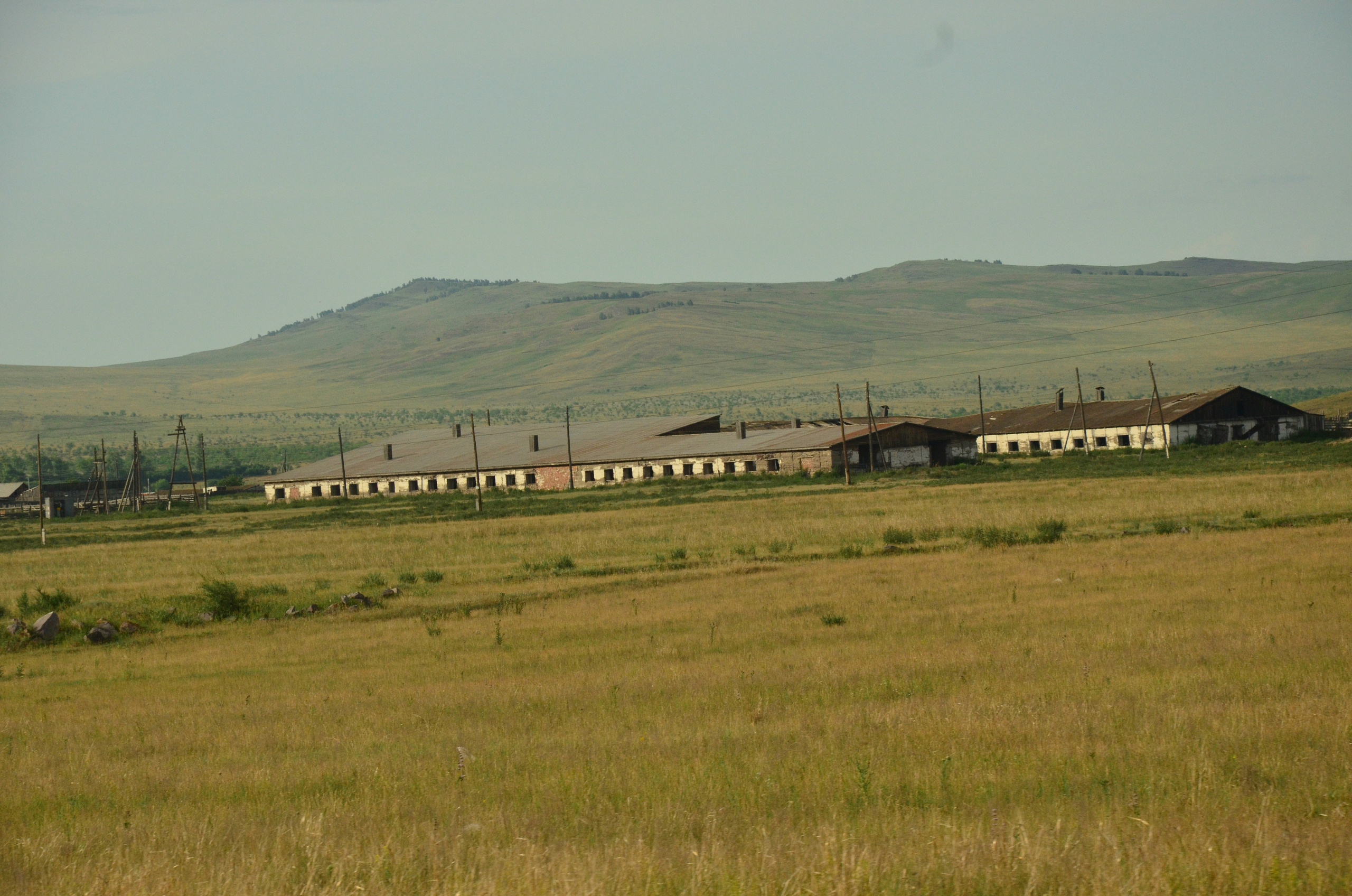 Дары природы. Фотограф viktor viktor